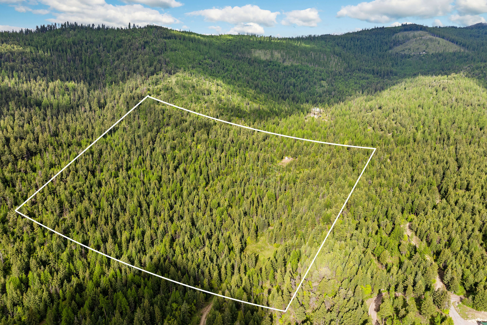 1520 Bierney Creek Road Property Photo 8