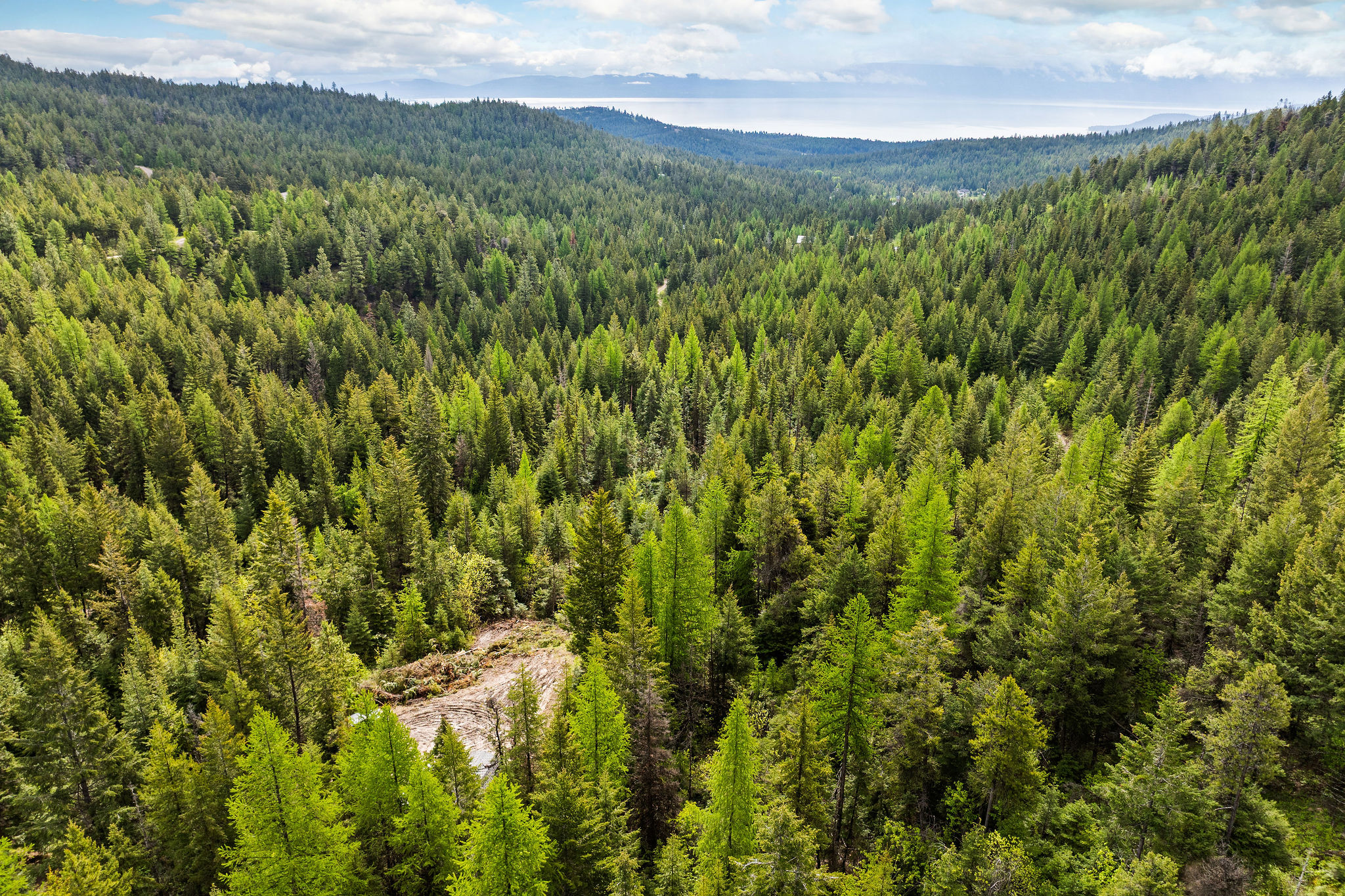 1520 Bierney Creek Road Property Photo 9