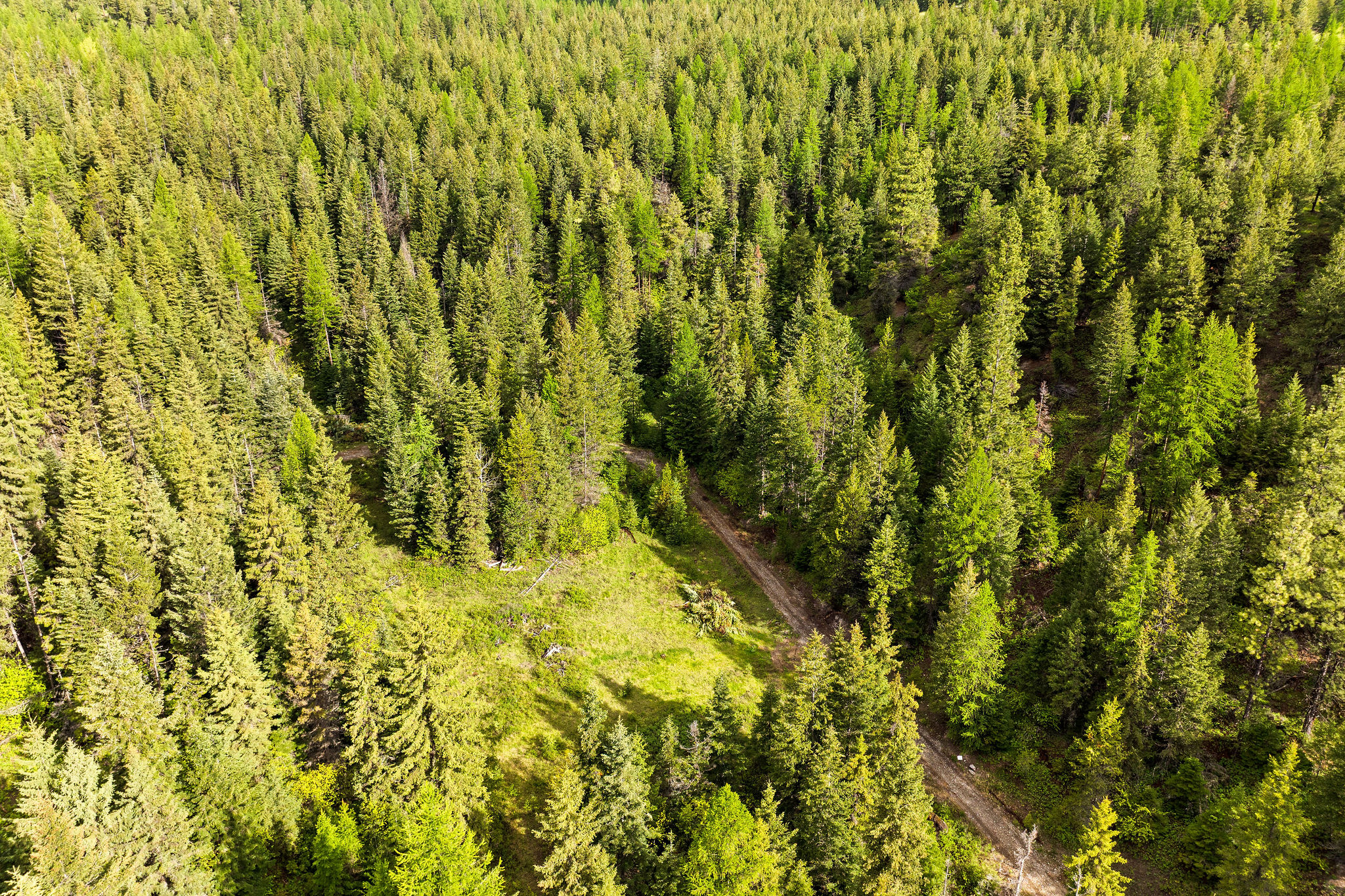 1520 Bierney Creek Road Property Photo 10