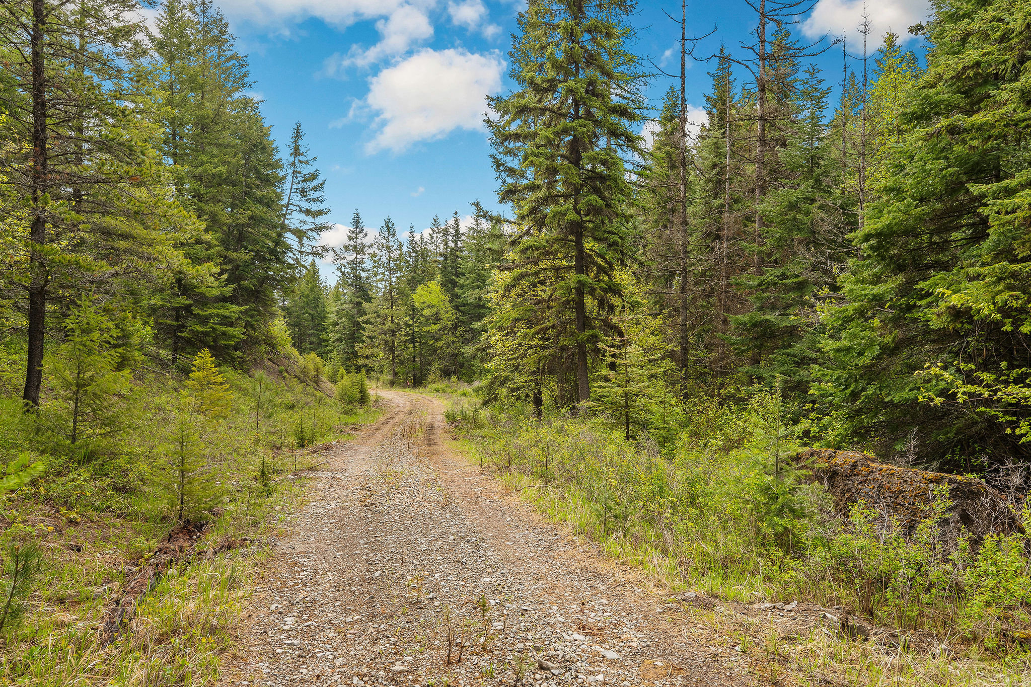 1520 Bierney Creek Road Property Photo 11