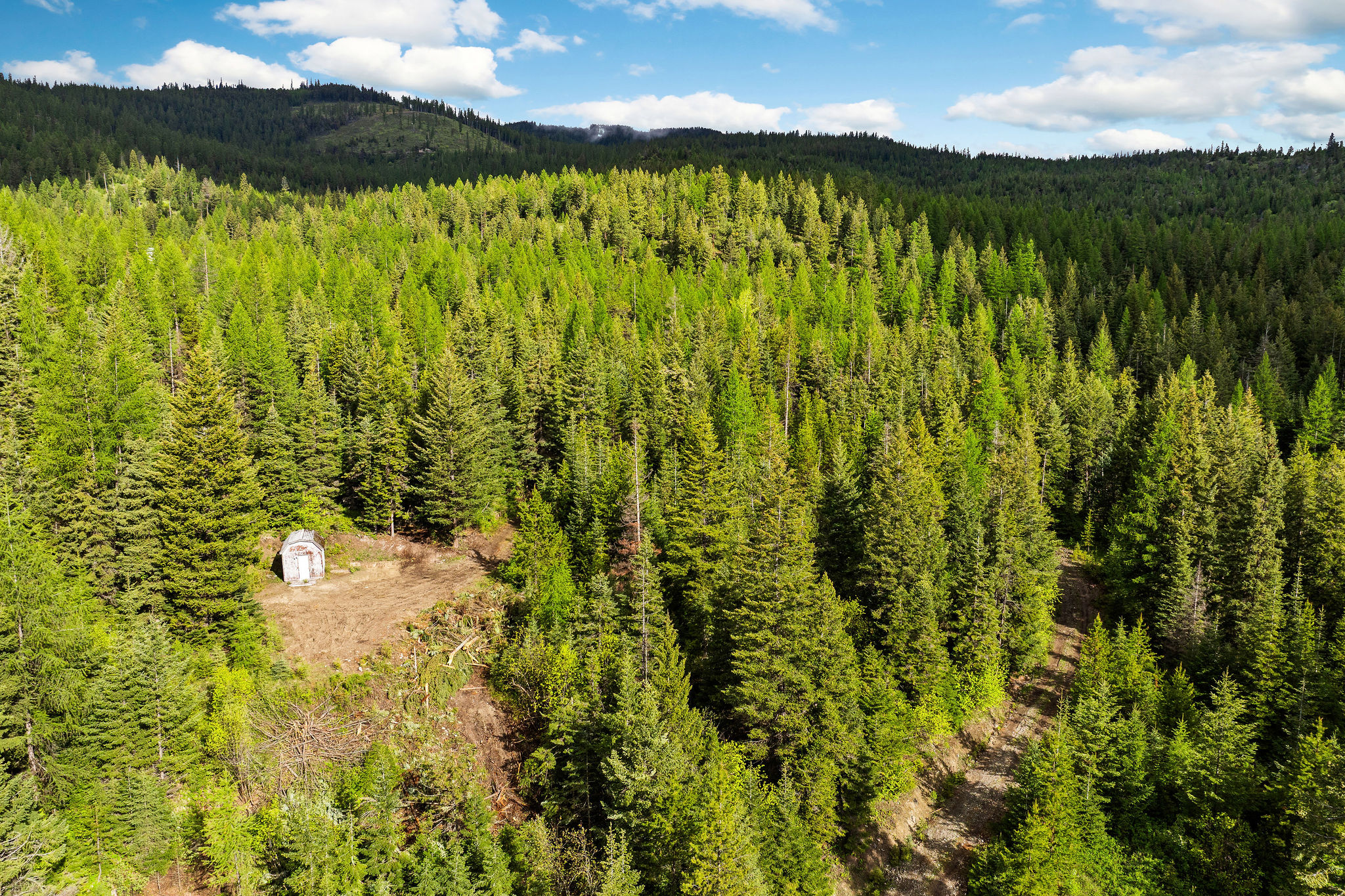 1520 Bierney Creek Road Property Photo 12