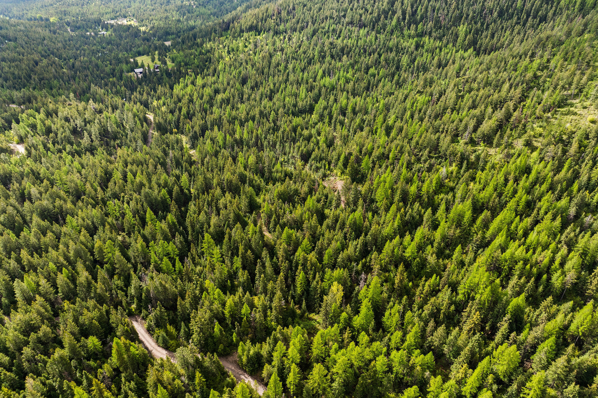 1520 Bierney Creek Road Property Photo 13