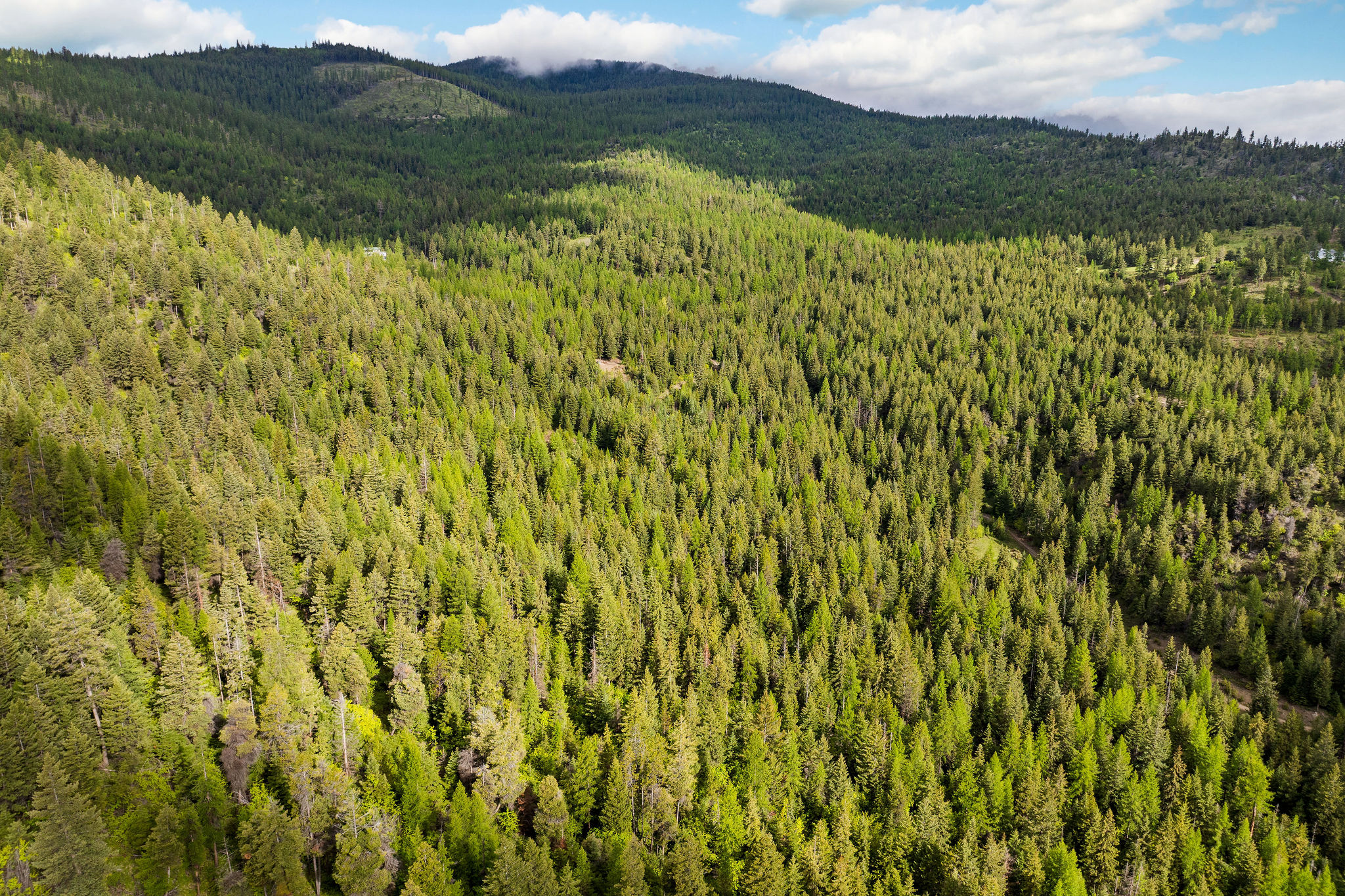 1520 Bierney Creek Road Property Photo 14