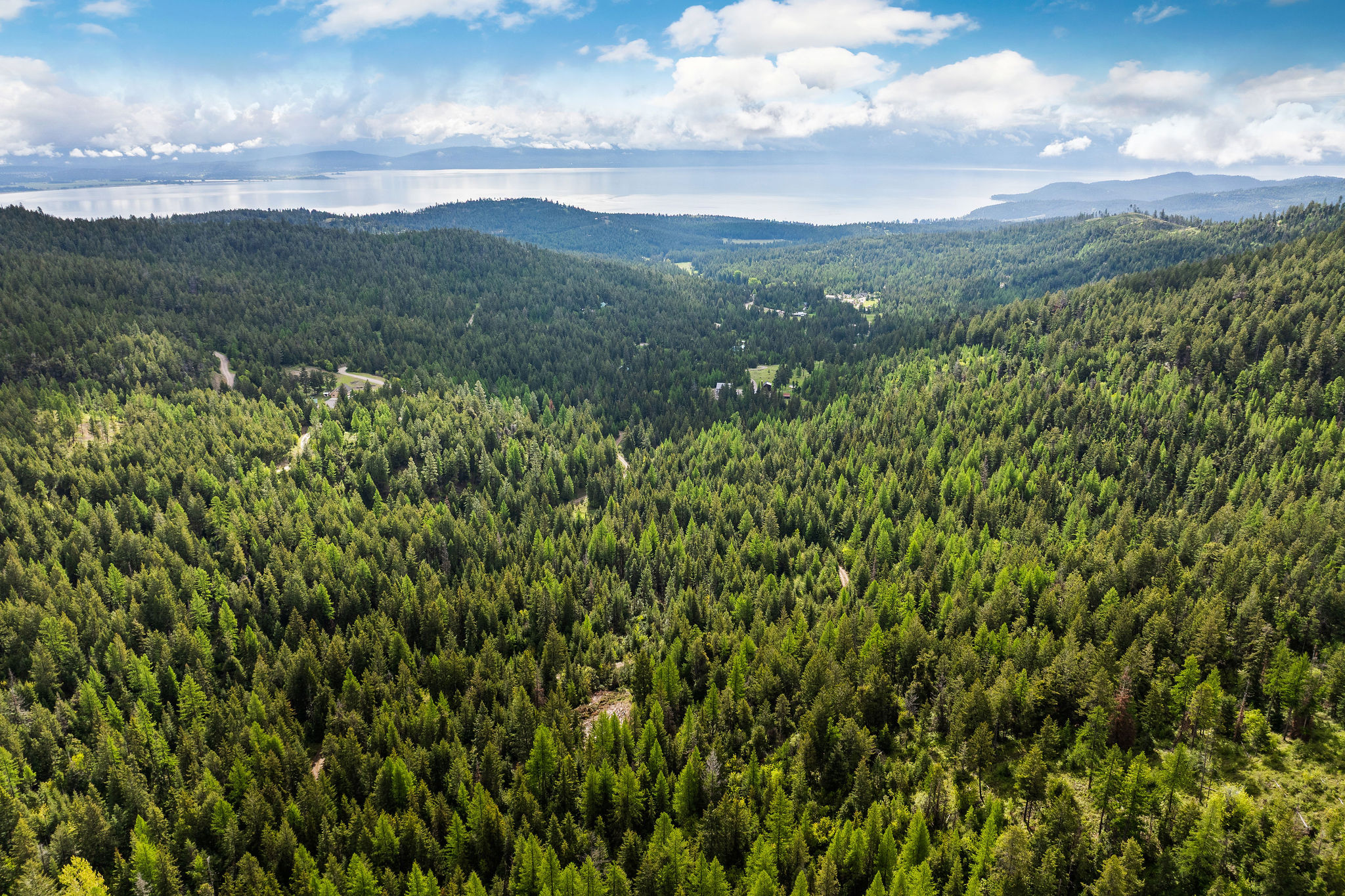 1520 Bierney Creek Road Property Photo 15