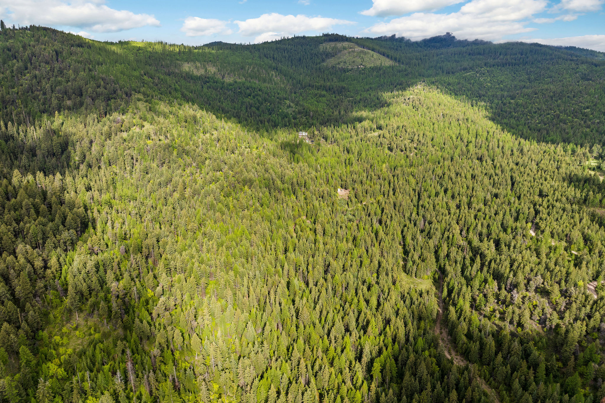 1520 Bierney Creek Road Property Photo 16