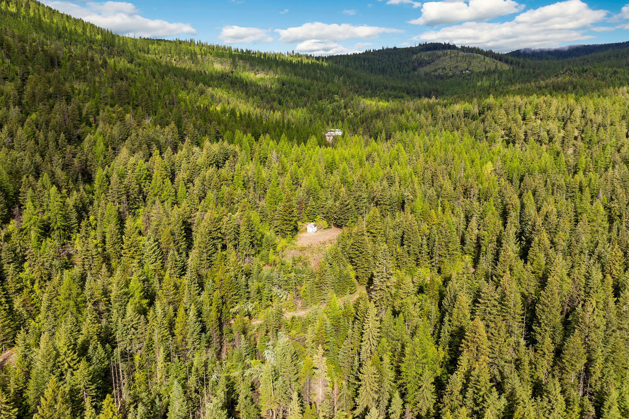 1520 Bierney Creek Road Property Photo 17