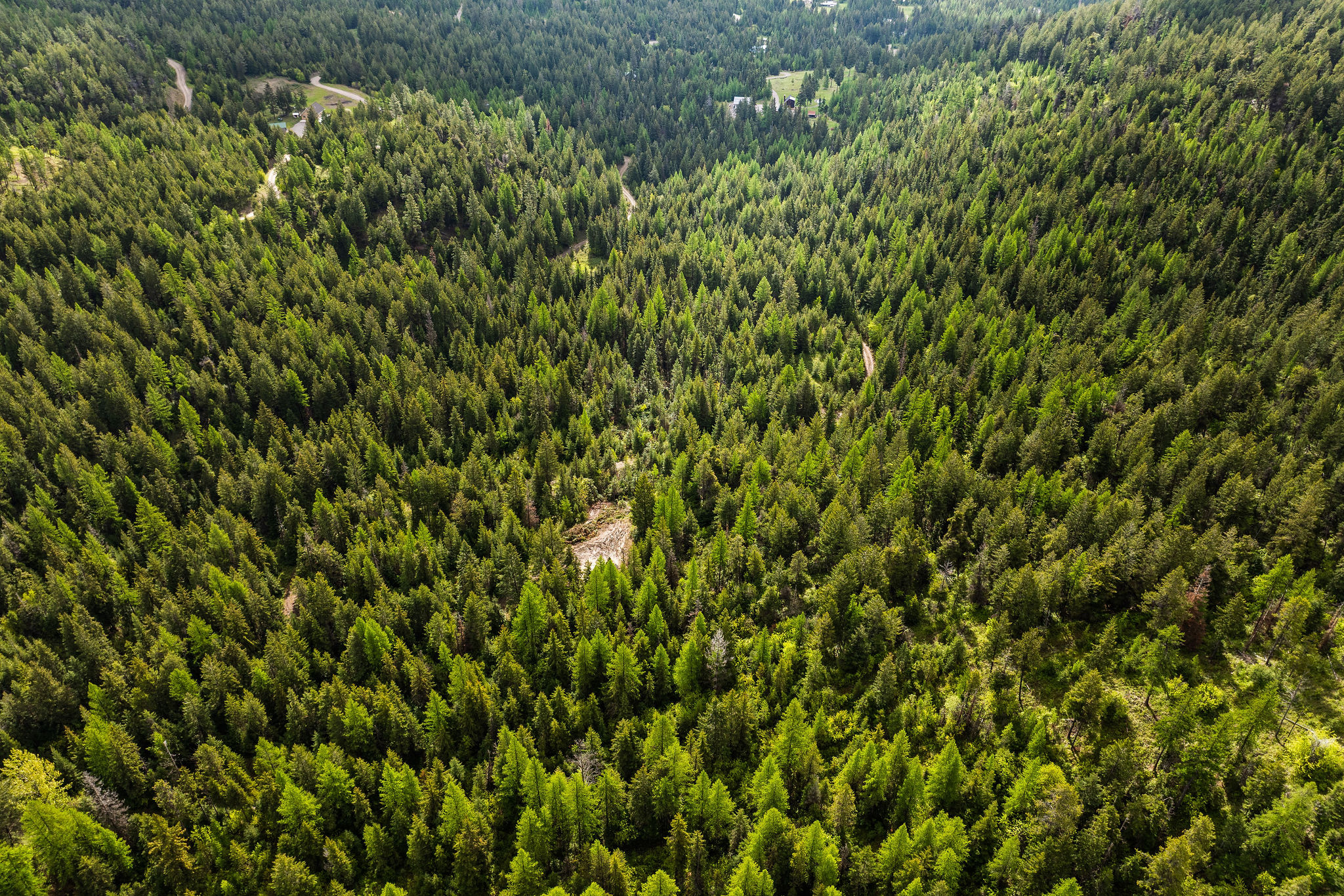 1520 Bierney Creek Road Property Photo 18