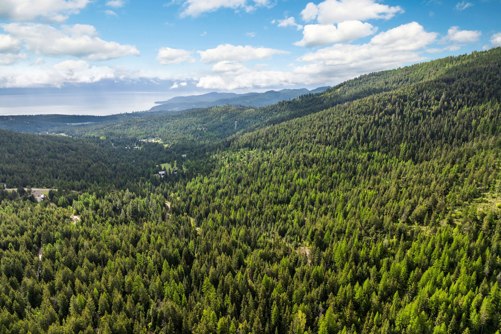 1520 Bierney Creek Road Property Photo 19