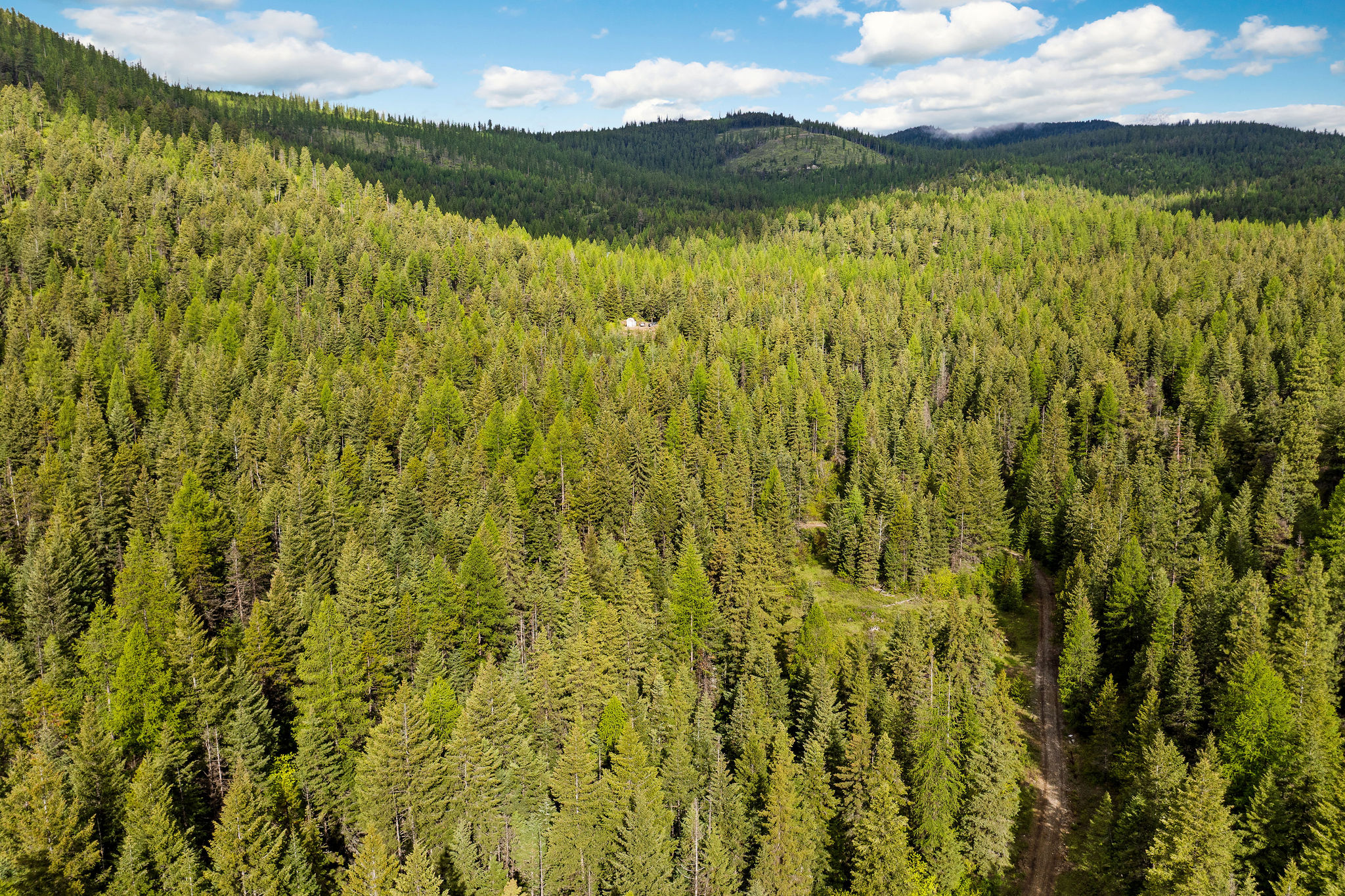 1520 Bierney Creek Road Property Photo 20