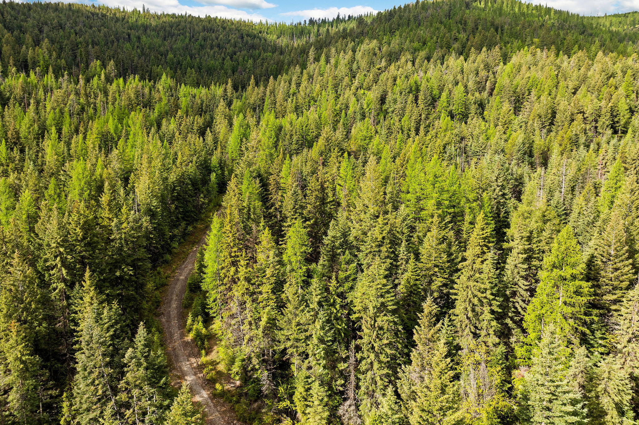 1520 Bierney Creek Road Property Photo 21