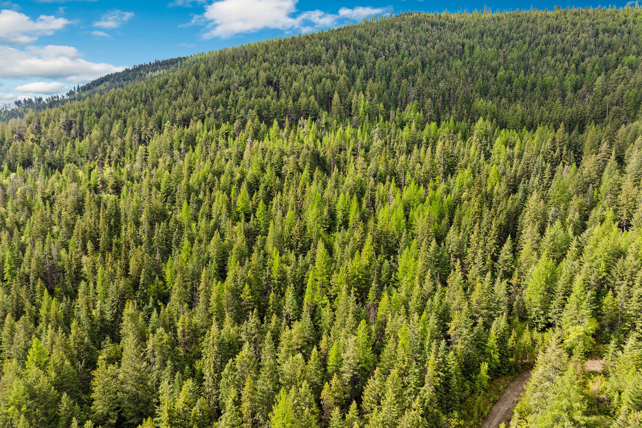 1520 Bierney Creek Road Property Photo 22