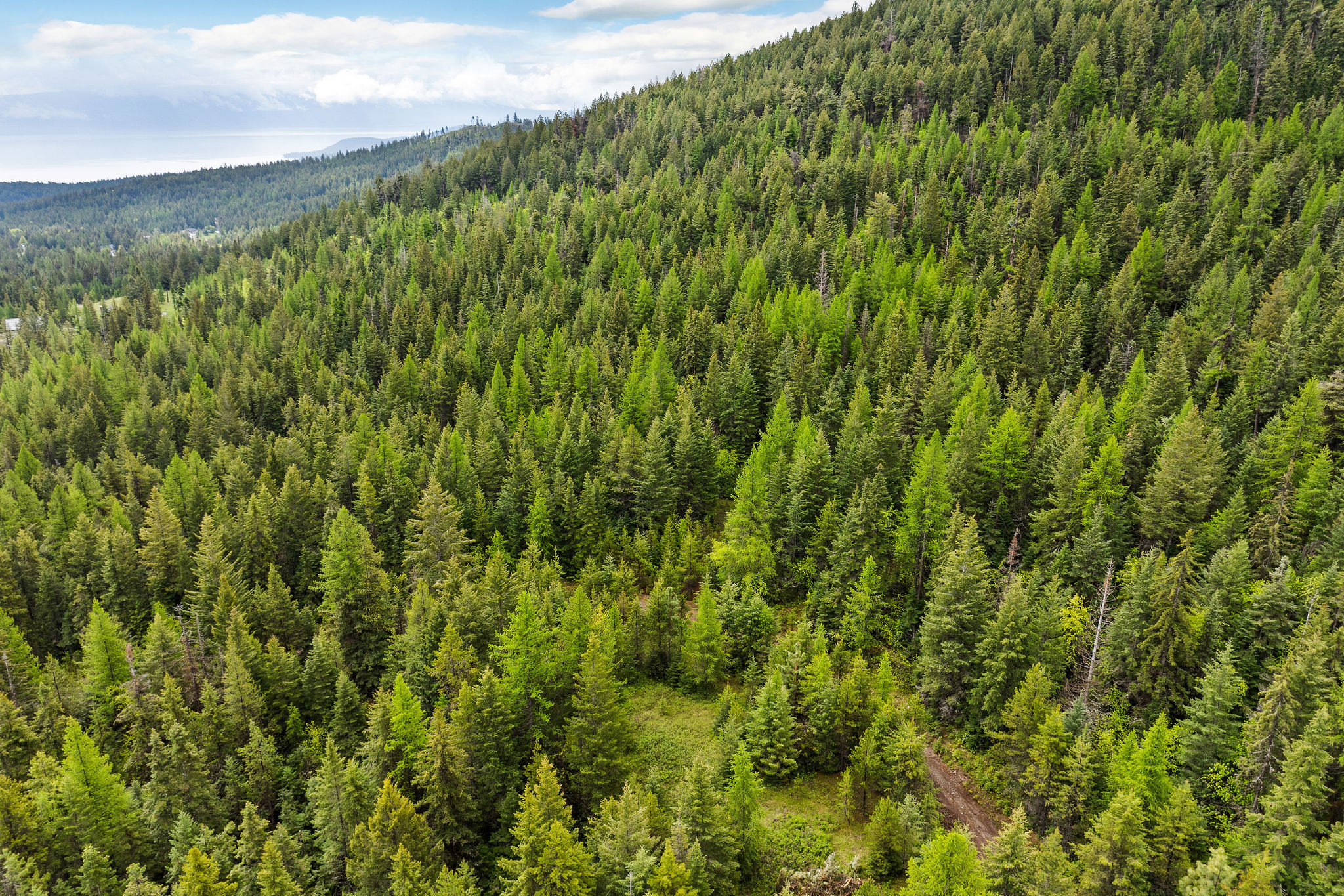 1520 Bierney Creek Road Property Photo 23