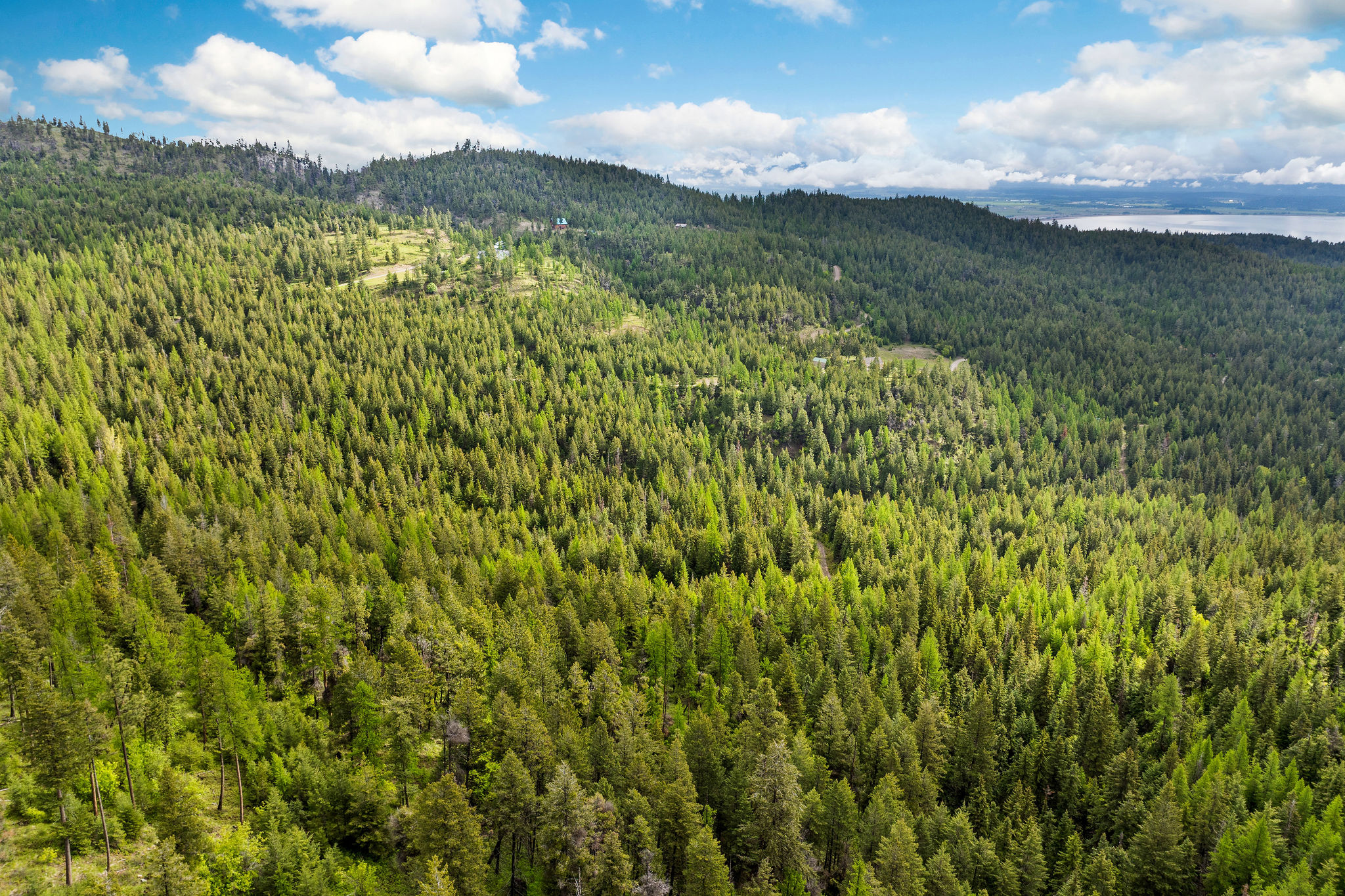 1520 Bierney Creek Road Property Photo 24