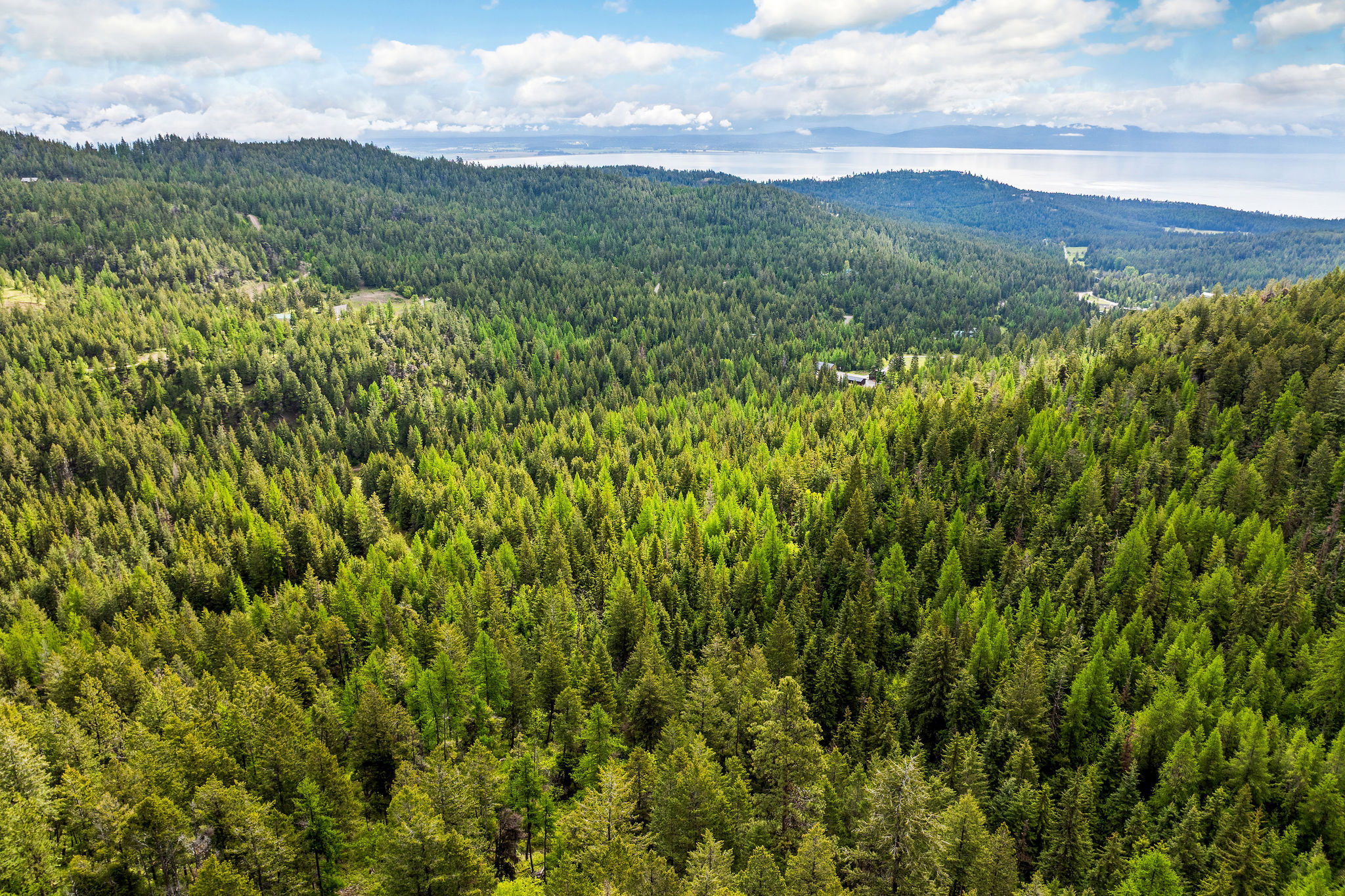 1520 Bierney Creek Road Property Photo 26