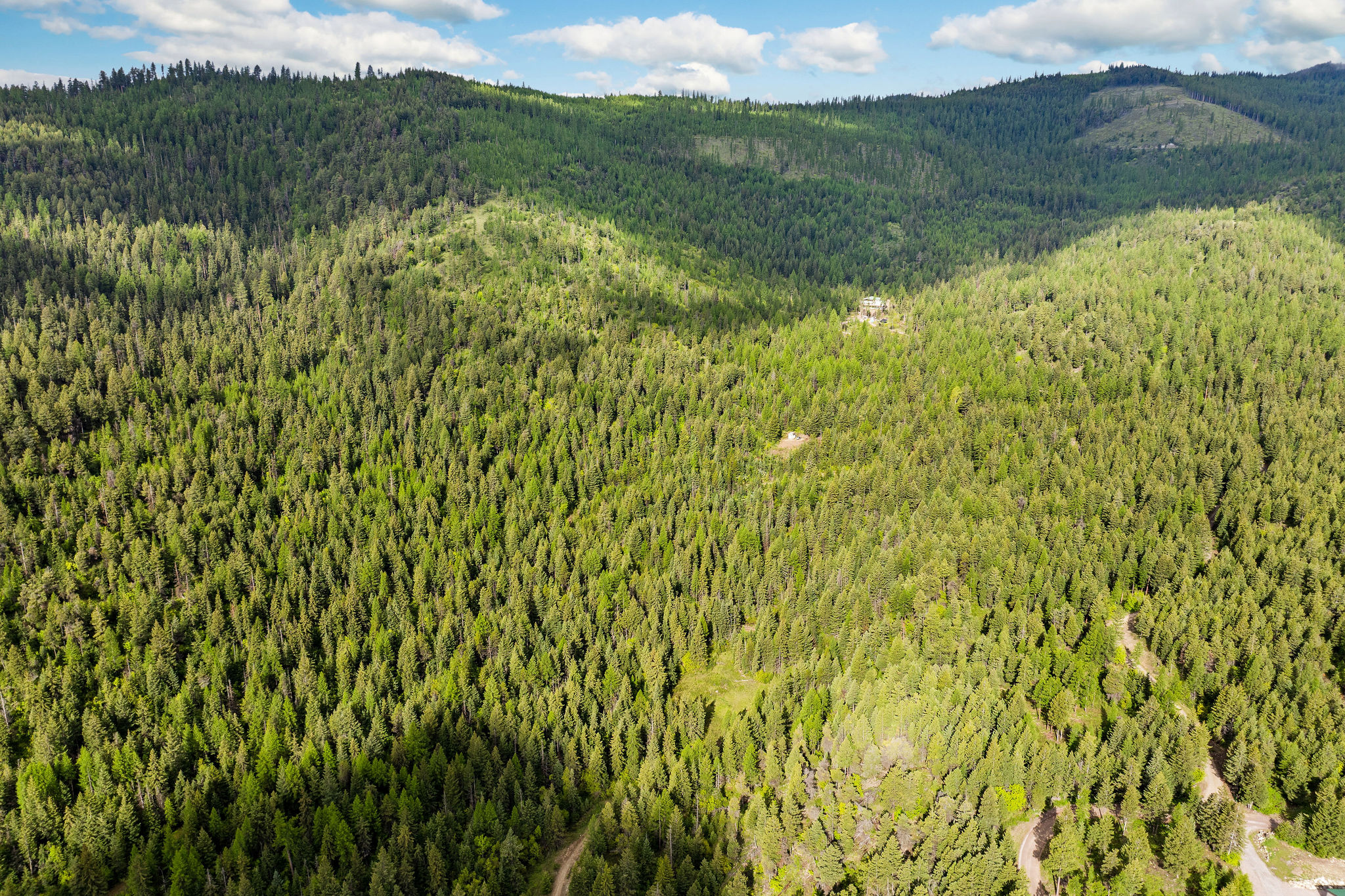 1520 Bierney Creek Road Property Photo 27