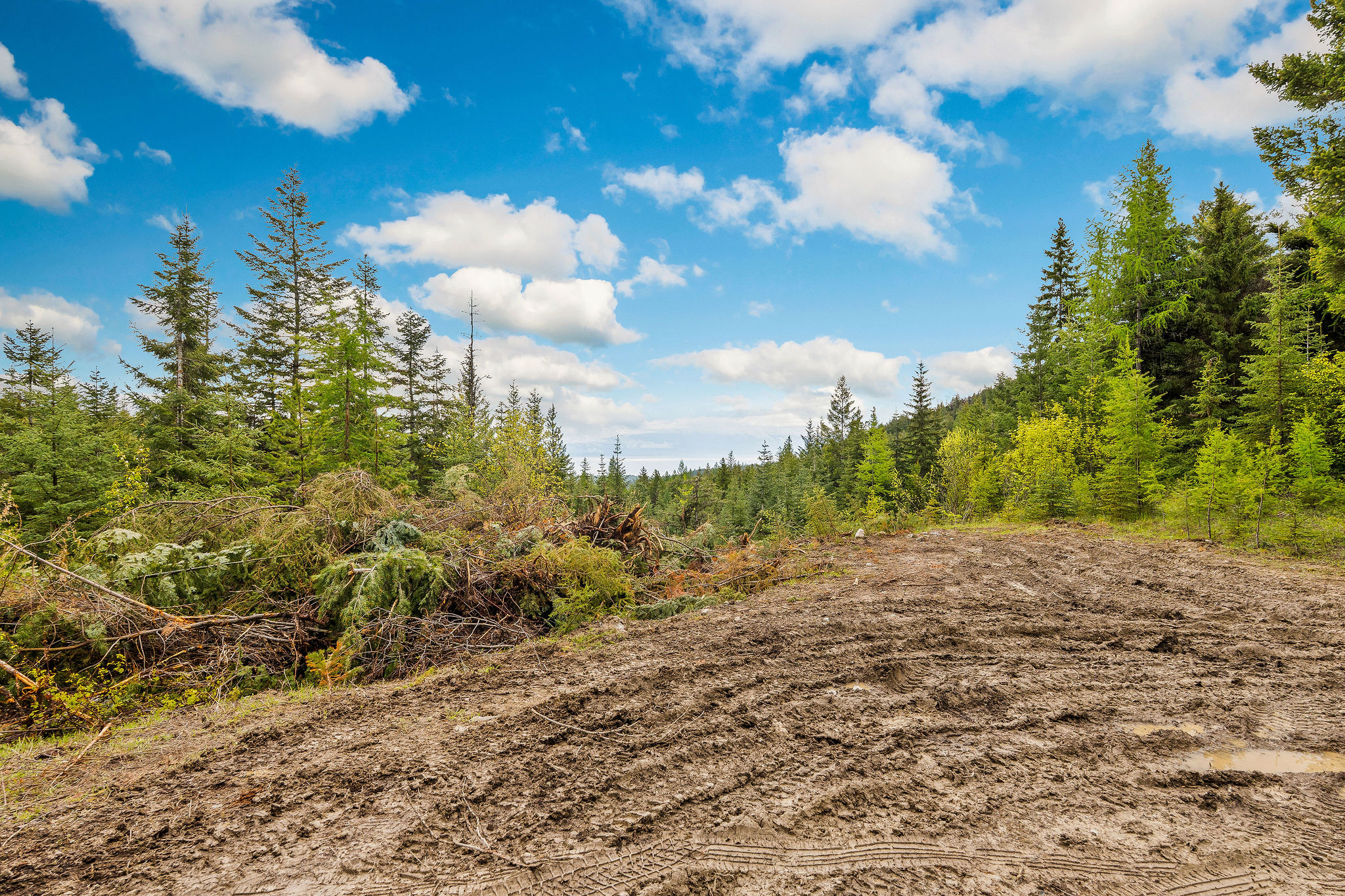 1520 Bierney Creek Road Property Photo 30