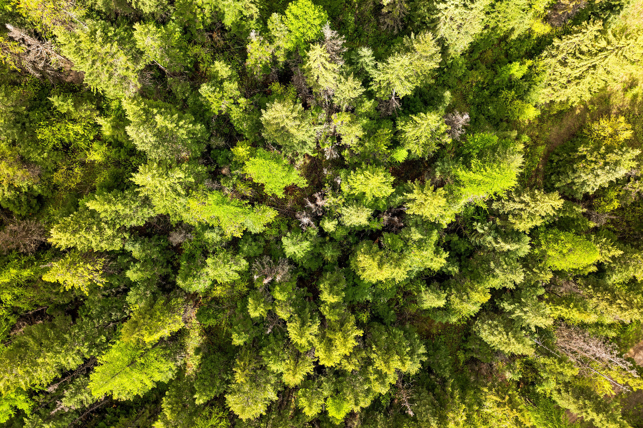 1520 Bierney Creek Road Property Photo 32