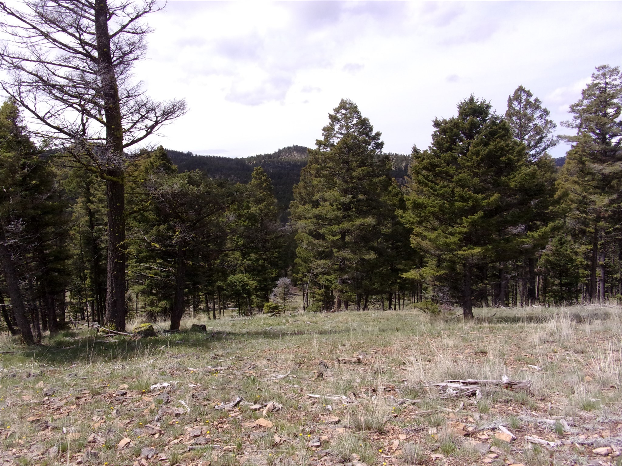 12718 Hoover Creek Road Property Photo 1