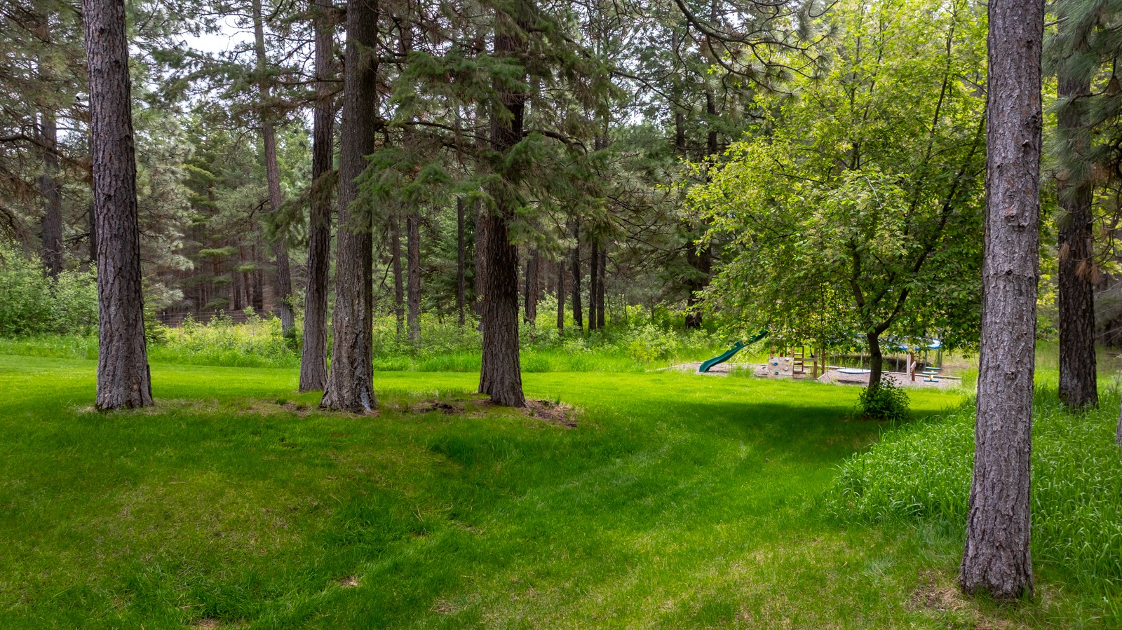 360 Plantation Drive Property Photo 64