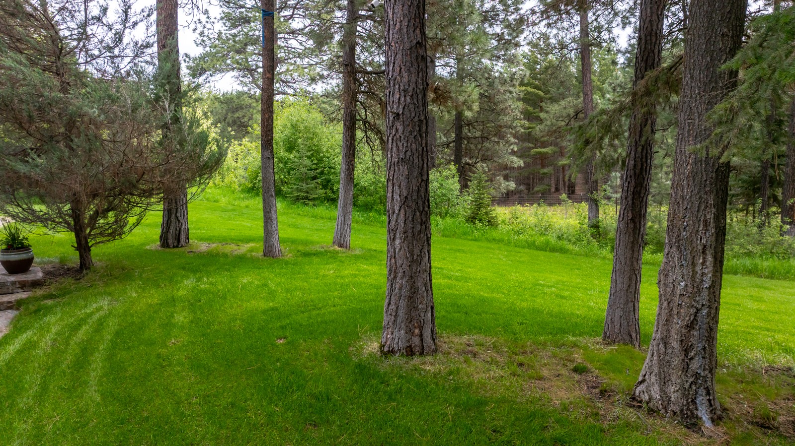 360 Plantation Drive Property Photo 65