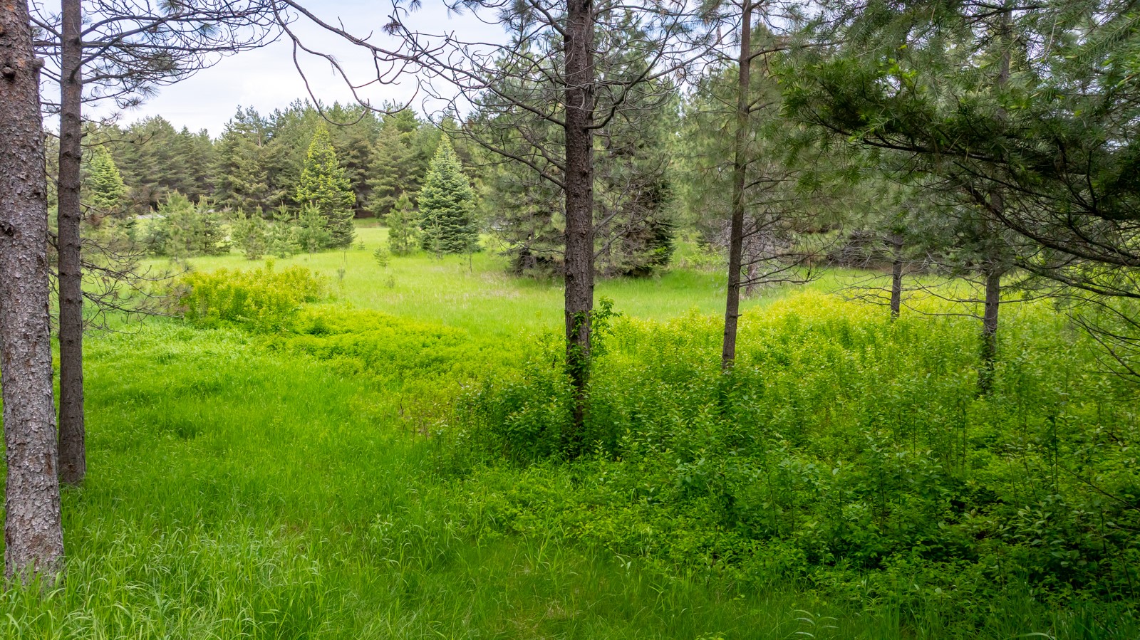 360 Plantation Drive Property Photo 68