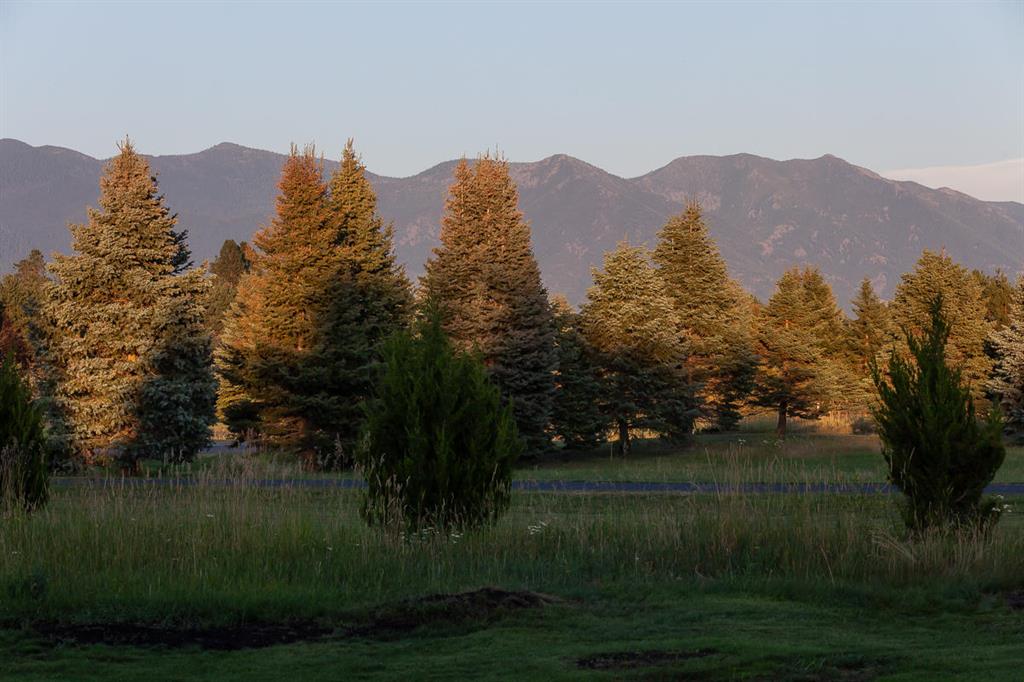 360 Plantation Drive Property Photo 73