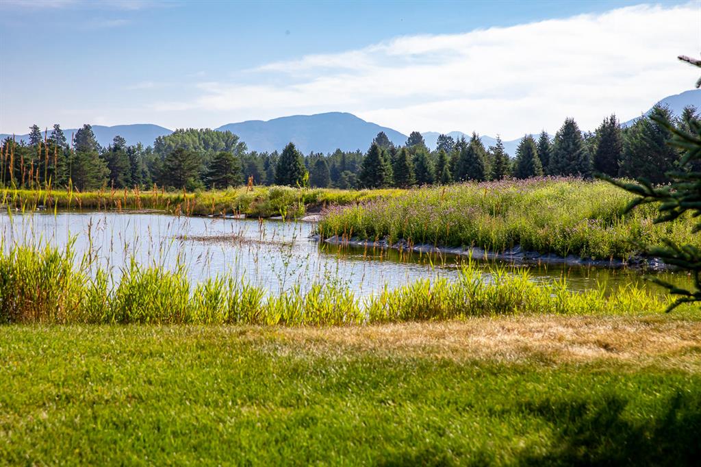 360 Plantation Drive Property Photo 74