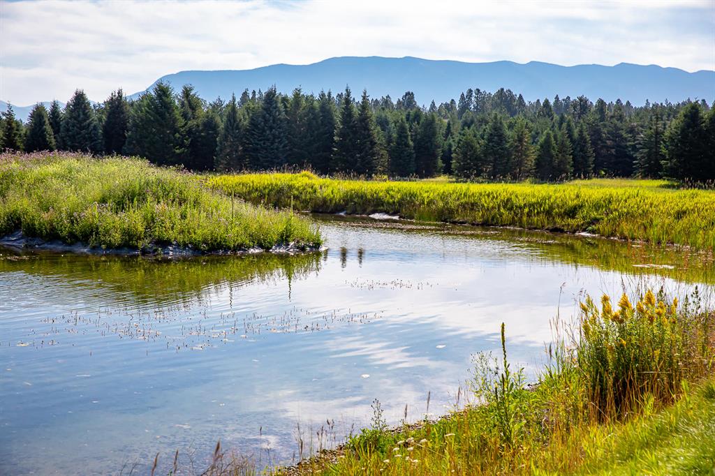 360 Plantation Drive Property Photo 75