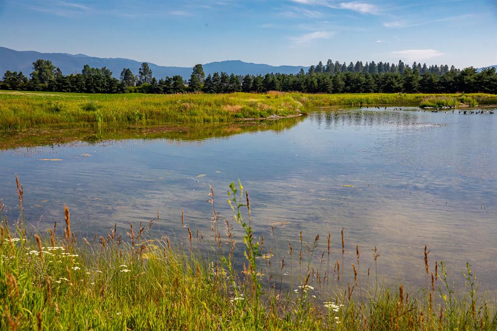 360 Plantation Drive Property Photo 76