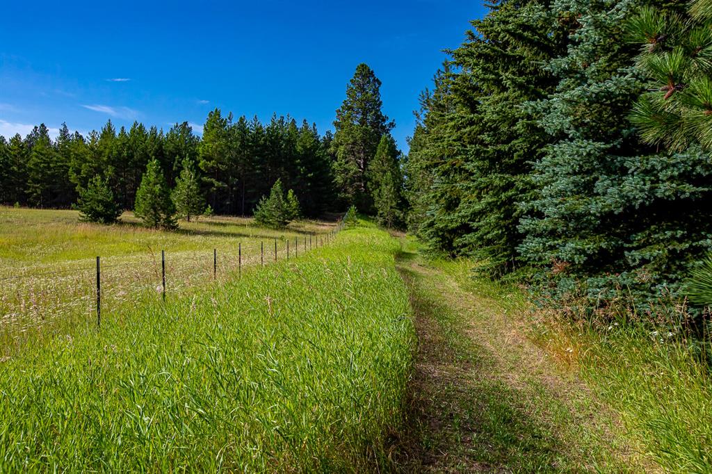 360 Plantation Drive Property Photo 78