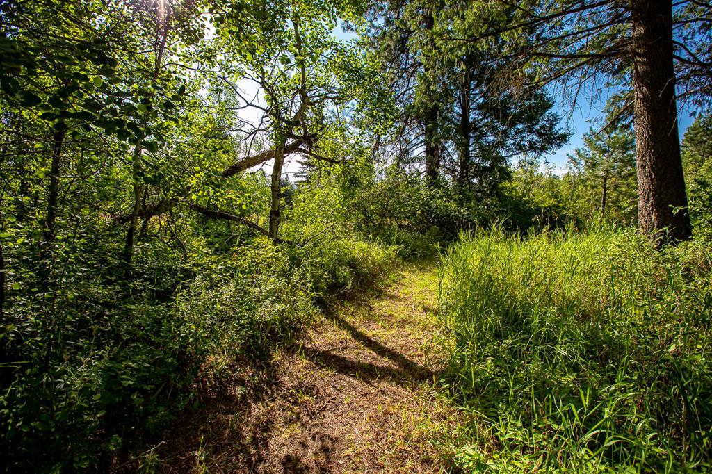 360 Plantation Drive Property Photo 79