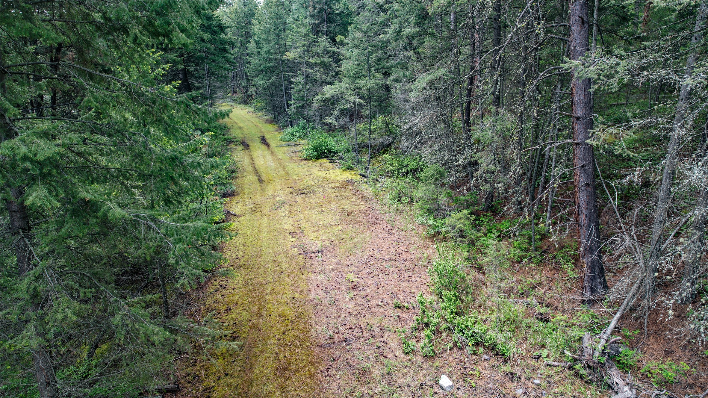 Nhn Us Hwy 93 Property Photo 2