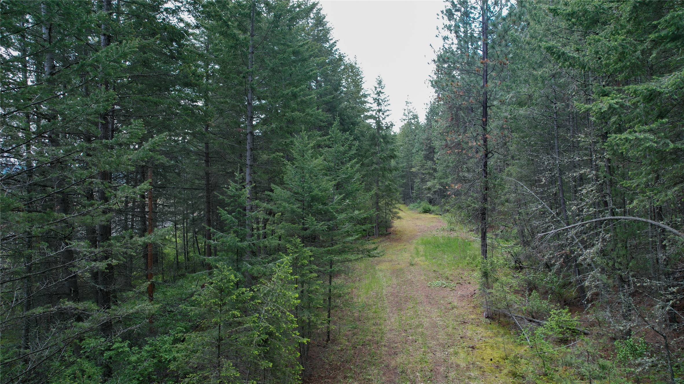 Nhn Us Hwy 93 Property Photo 3