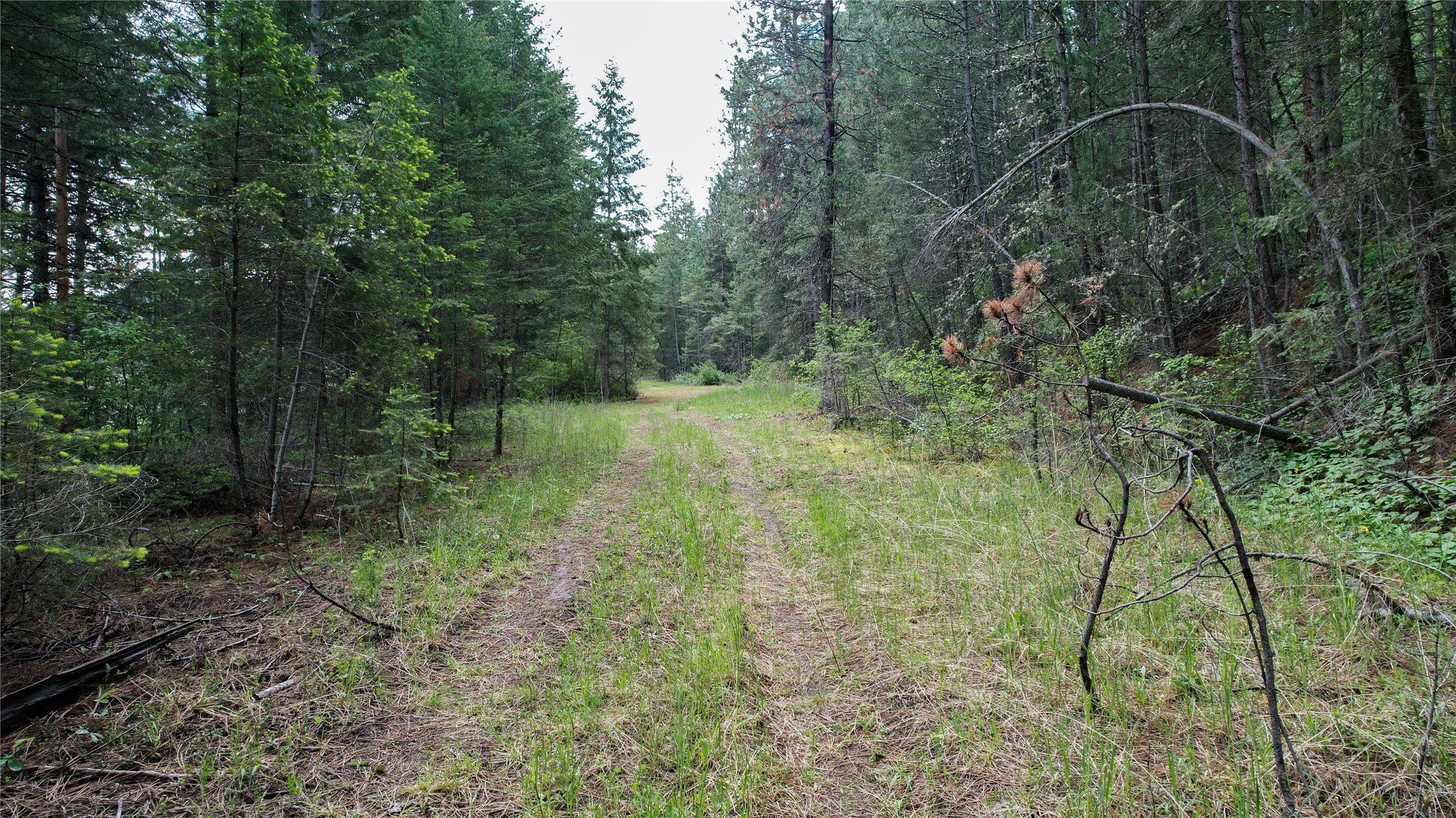 Nhn Us Hwy 93 Property Photo 5