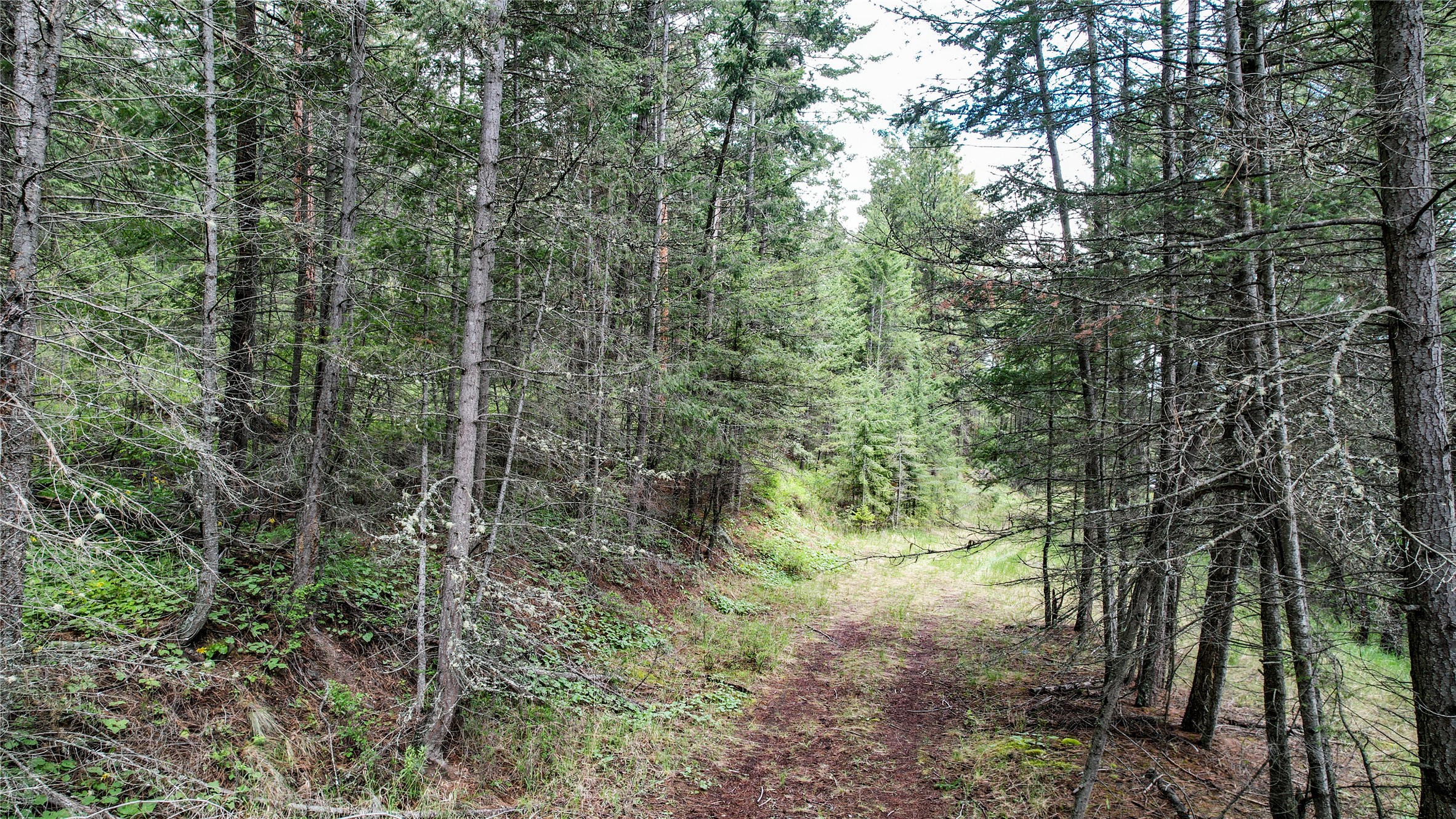 Nhn Us Hwy 93 Property Photo 7