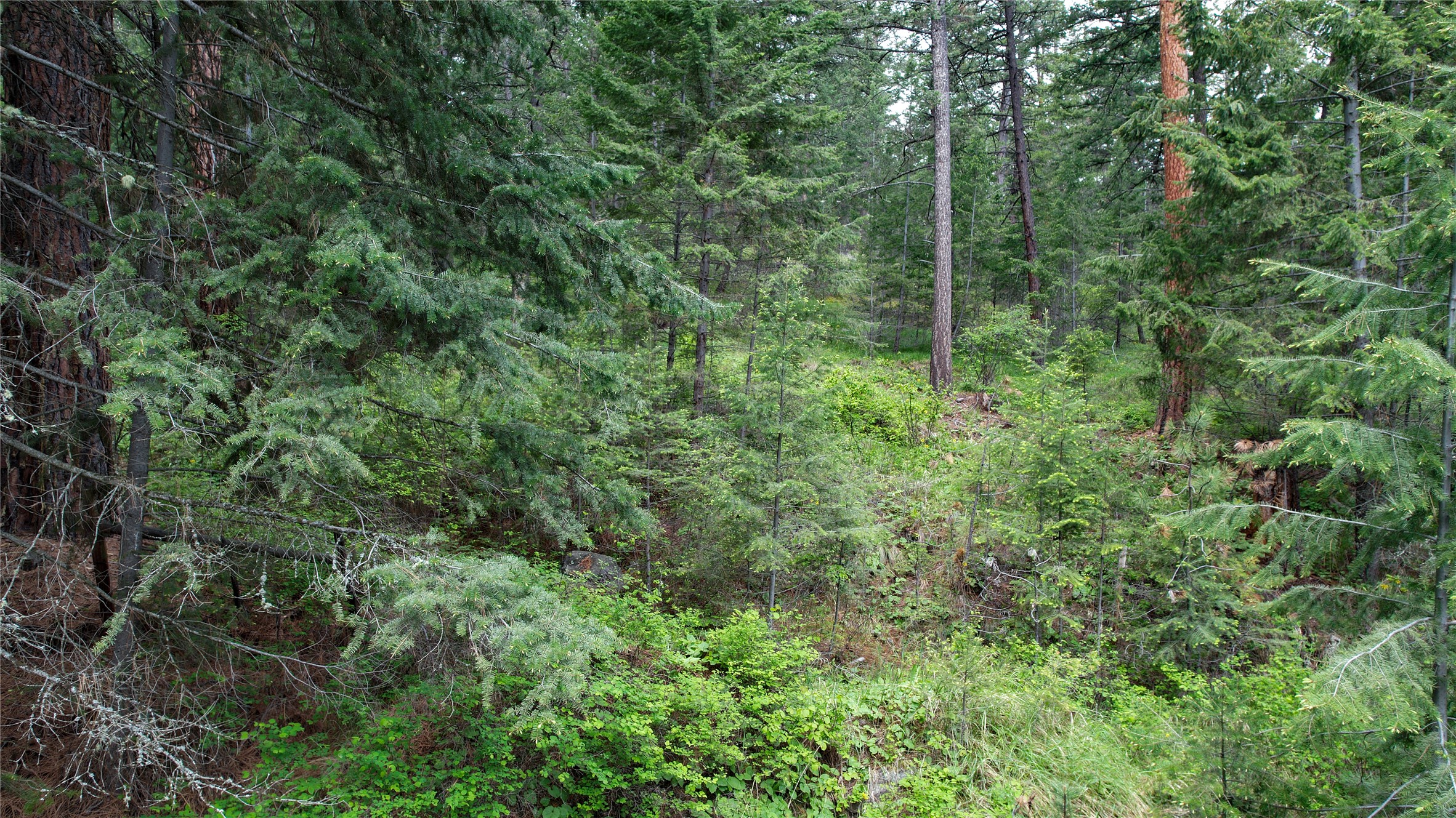 Nhn Us Hwy 93 Property Photo 8