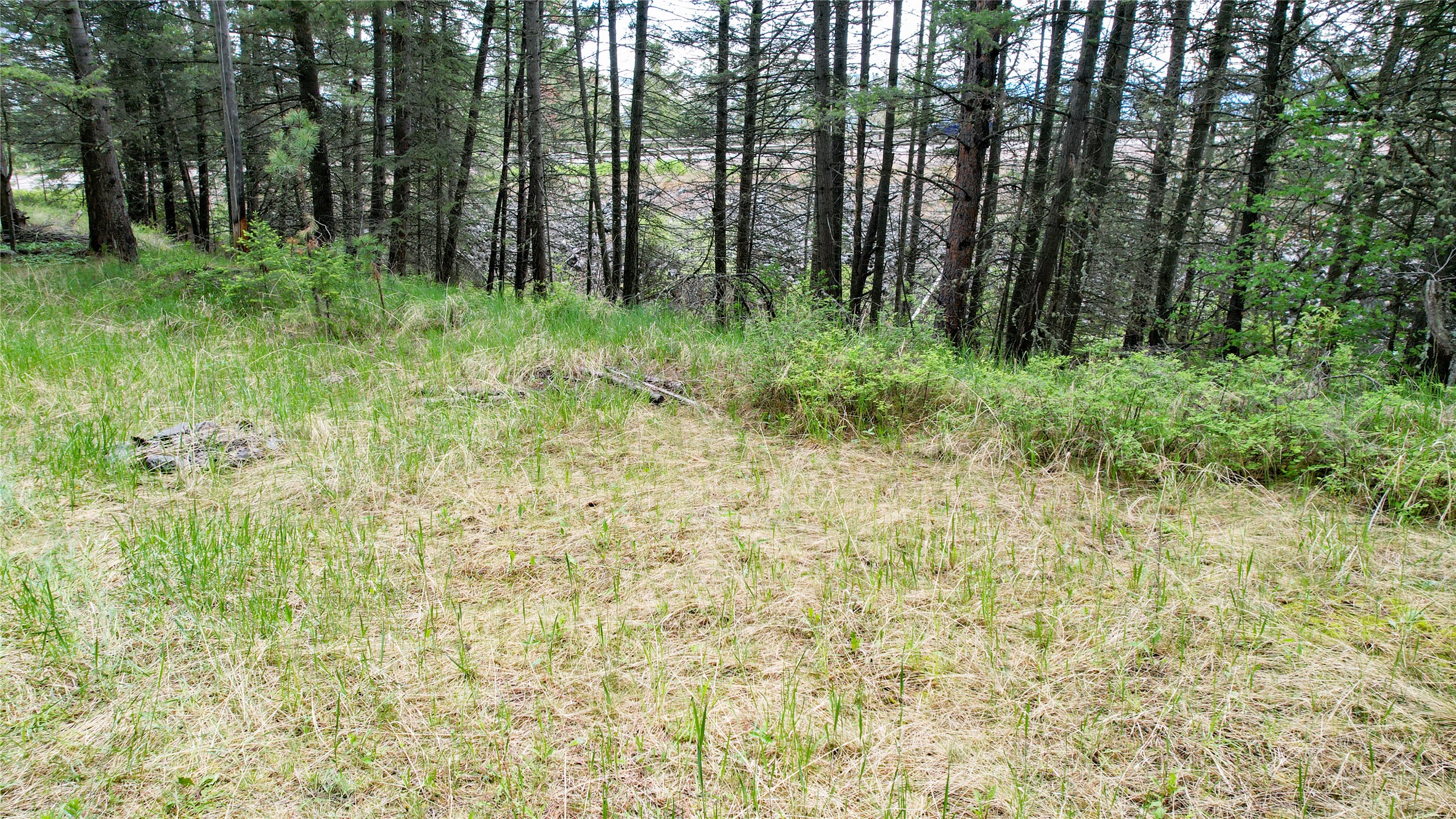 Nhn Us Hwy 93 Property Photo 9