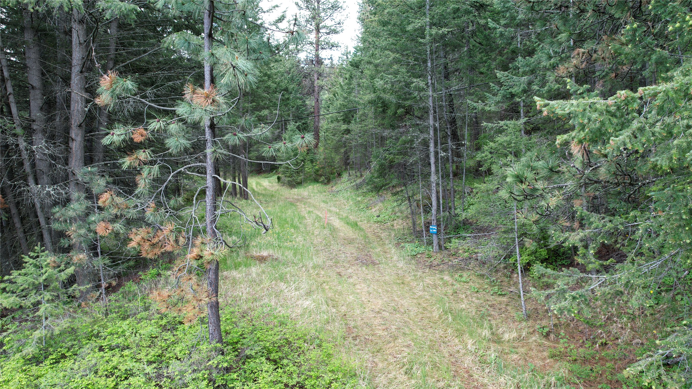 Nhn Us Hwy 93 Property Photo 10