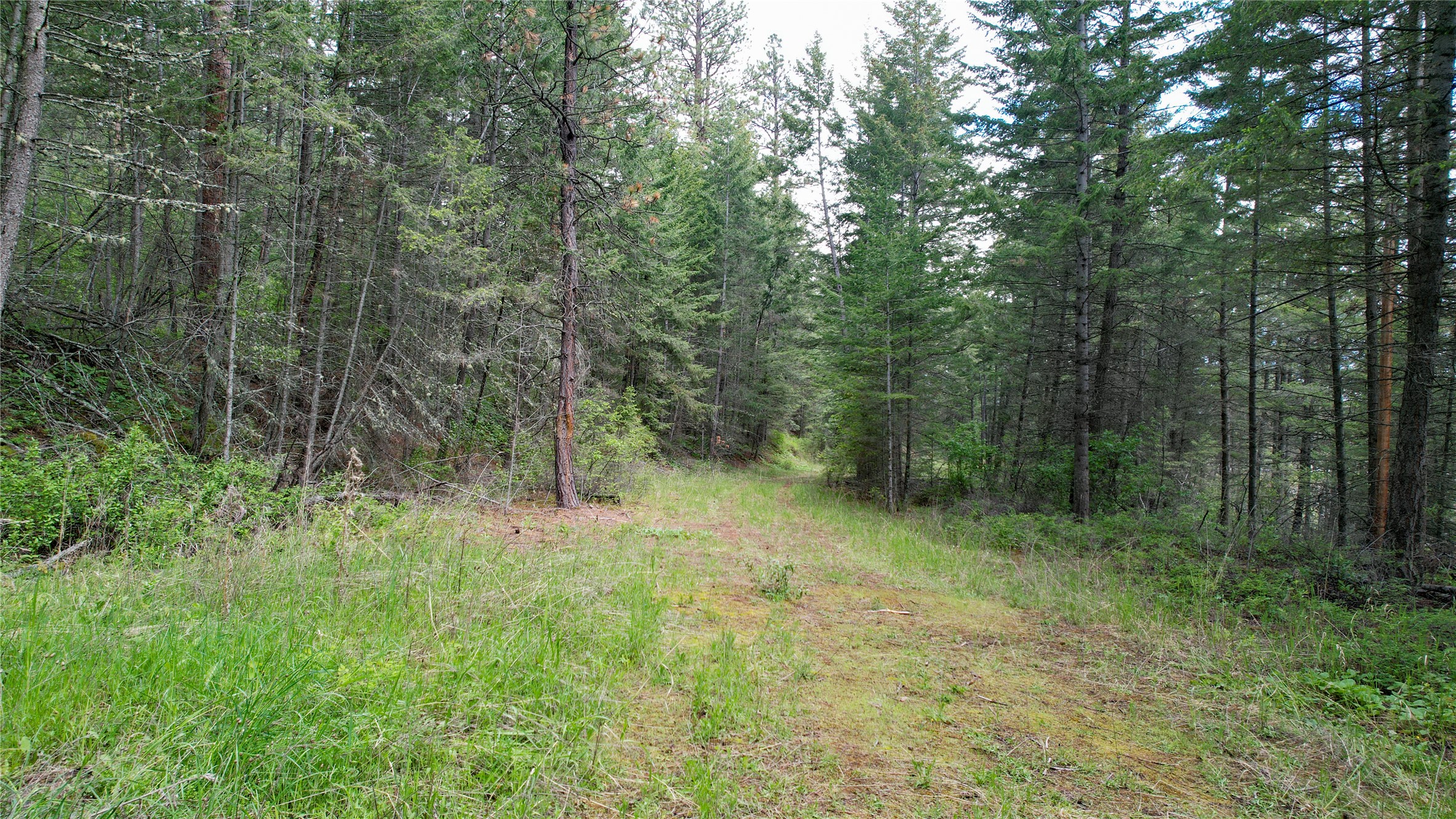 Nhn Us Hwy 93 Property Photo 11