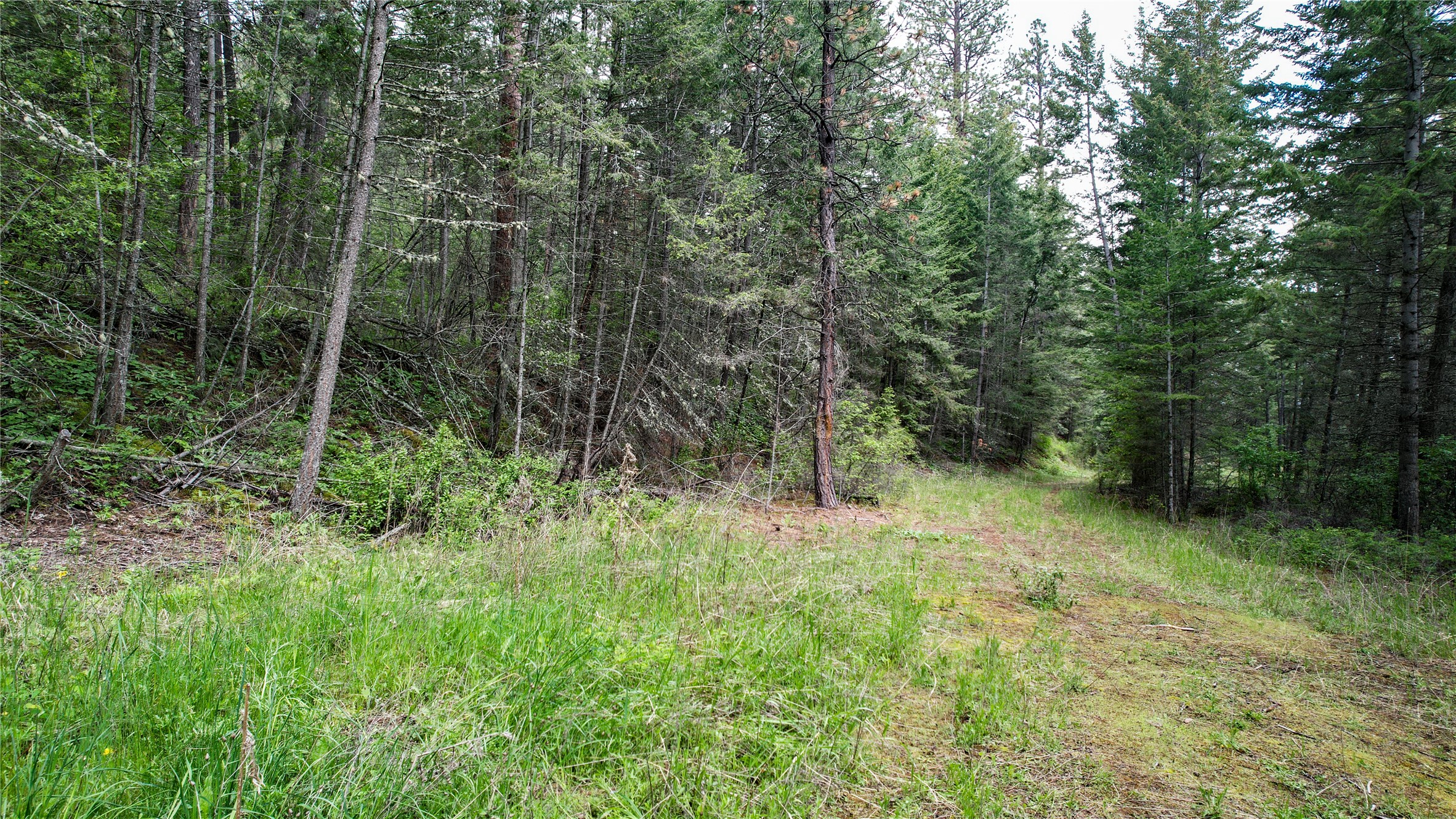 Nhn Us Hwy 93 Property Photo 12