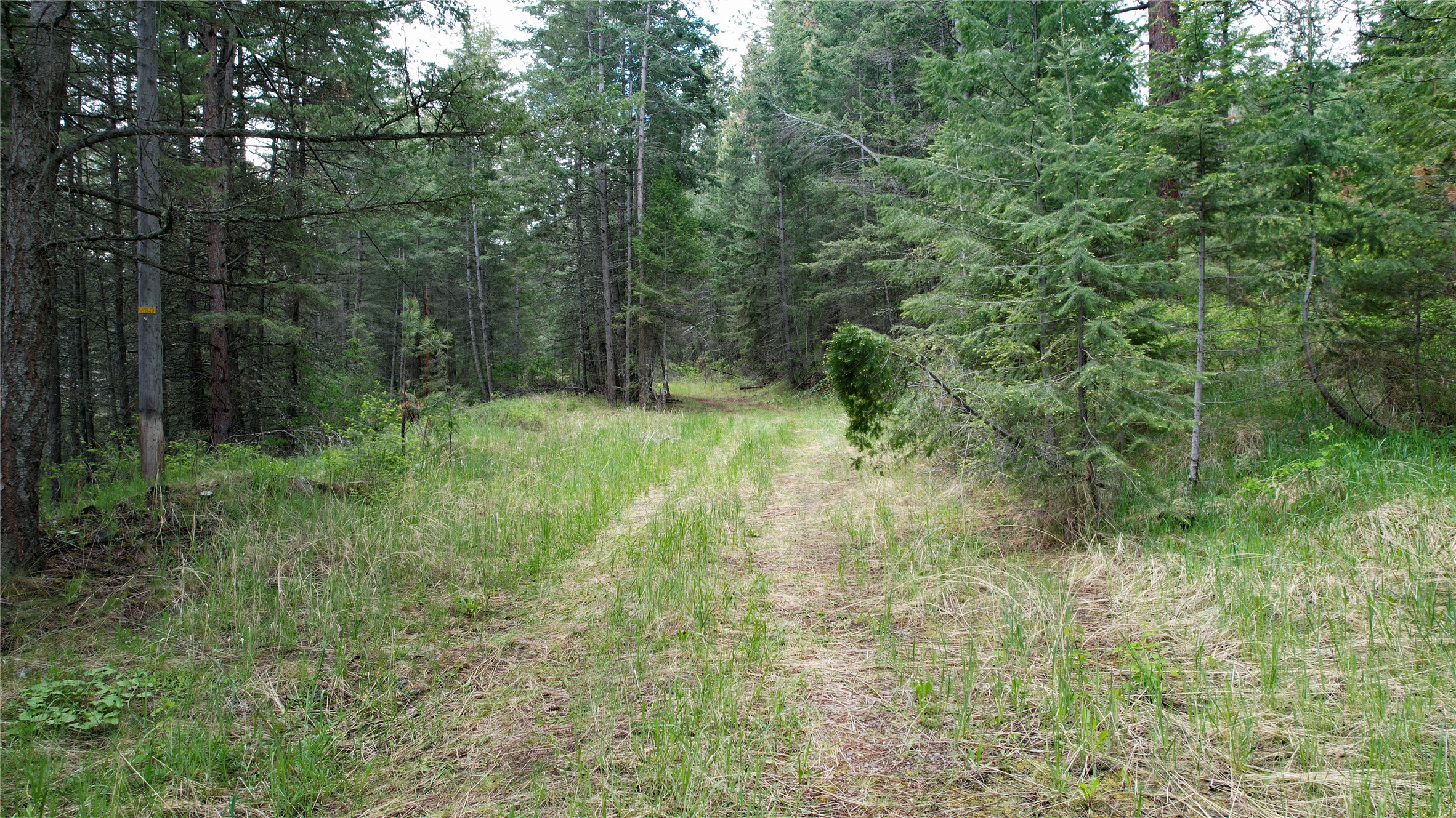 Nhn Us Hwy 93 Property Photo 13