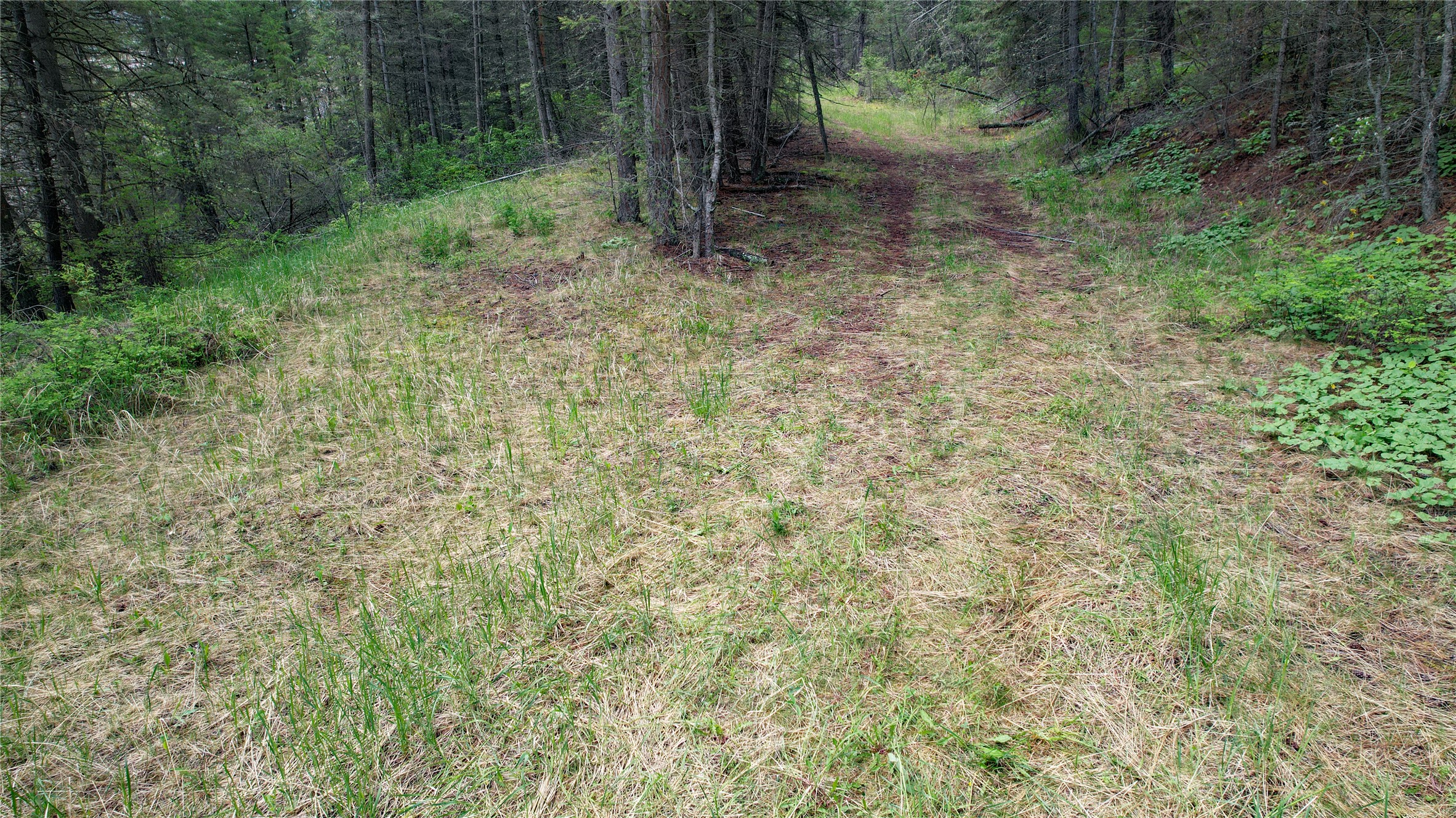 Nhn Us Hwy 93 Property Photo 14