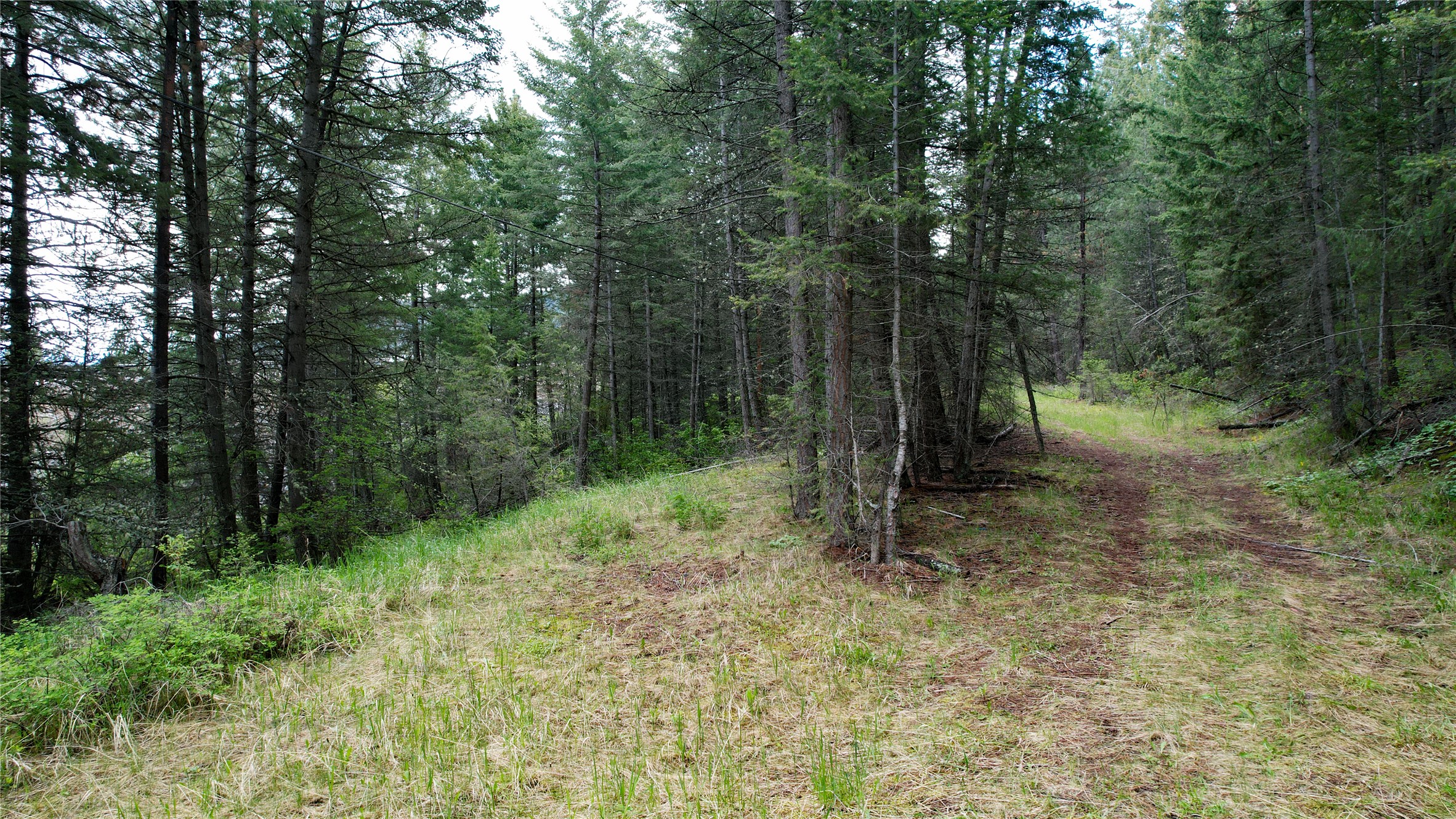 Nhn Us Hwy 93 Property Photo 15