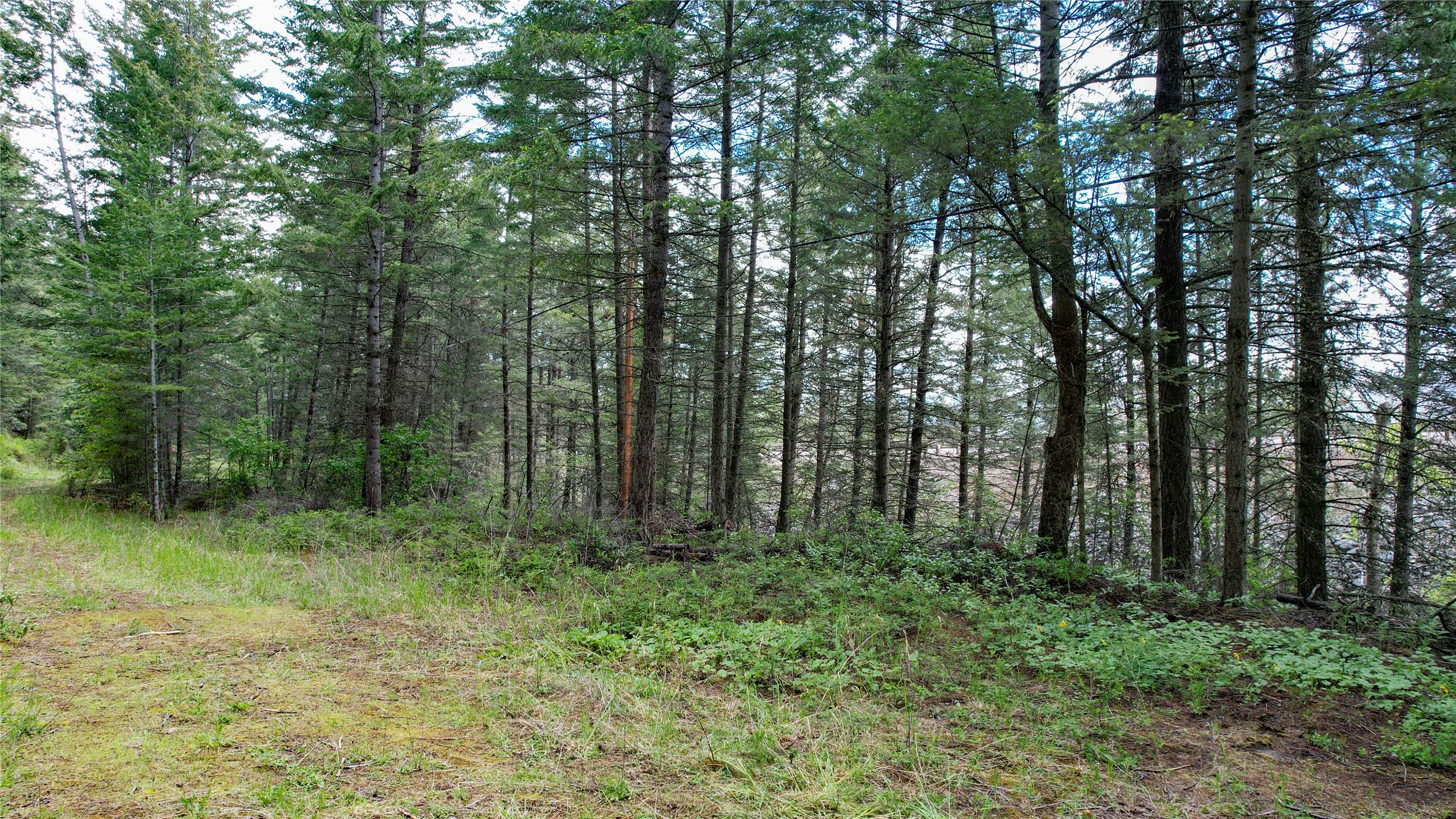 Nhn Us Hwy 93 Property Photo 16