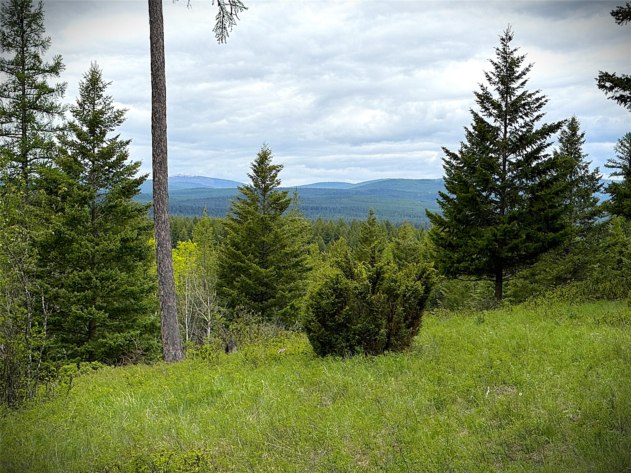 Nhn Lagoon Drive Property Photo 5