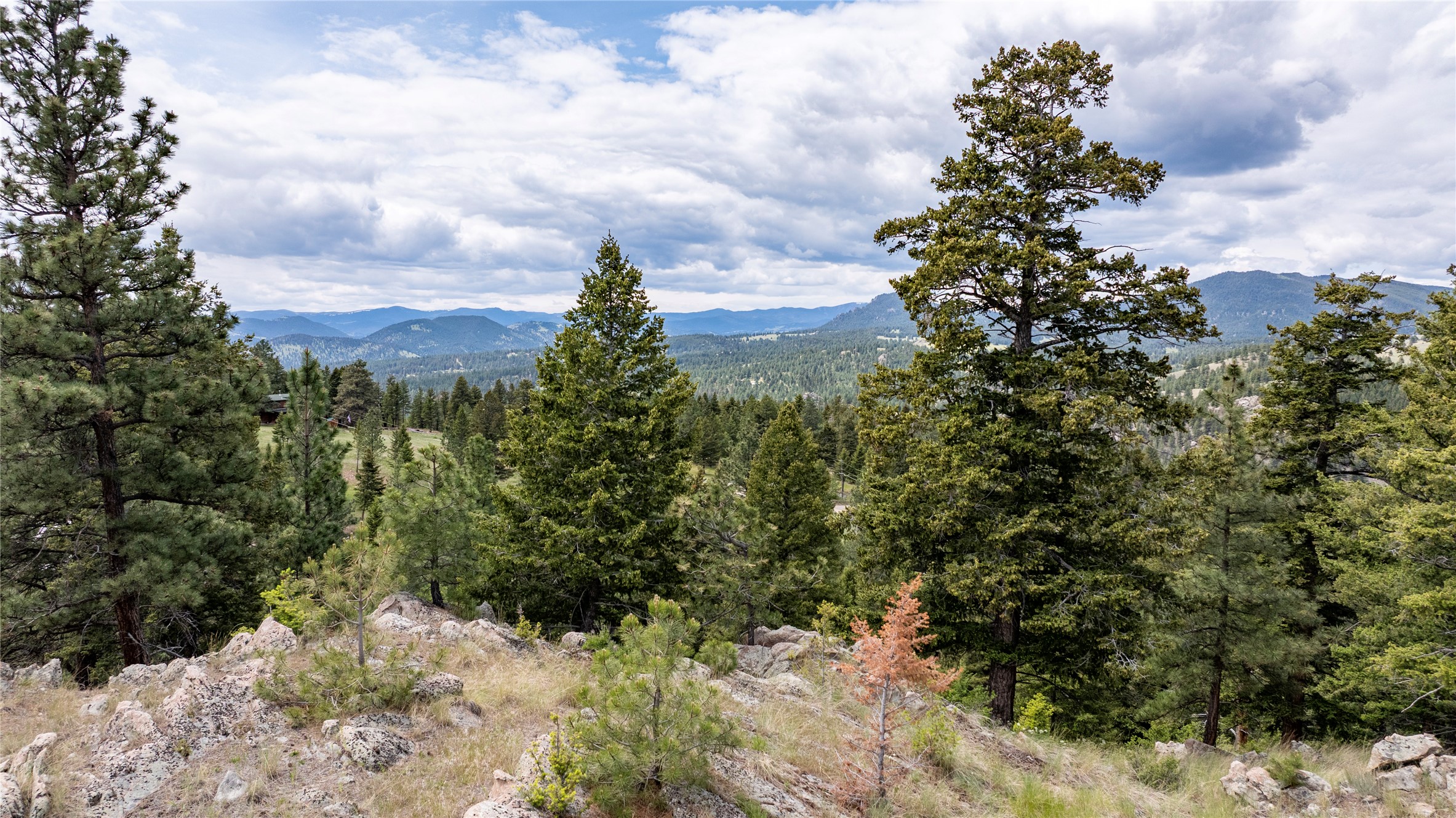 158 Saddle Mountain Drive Property Photo 19