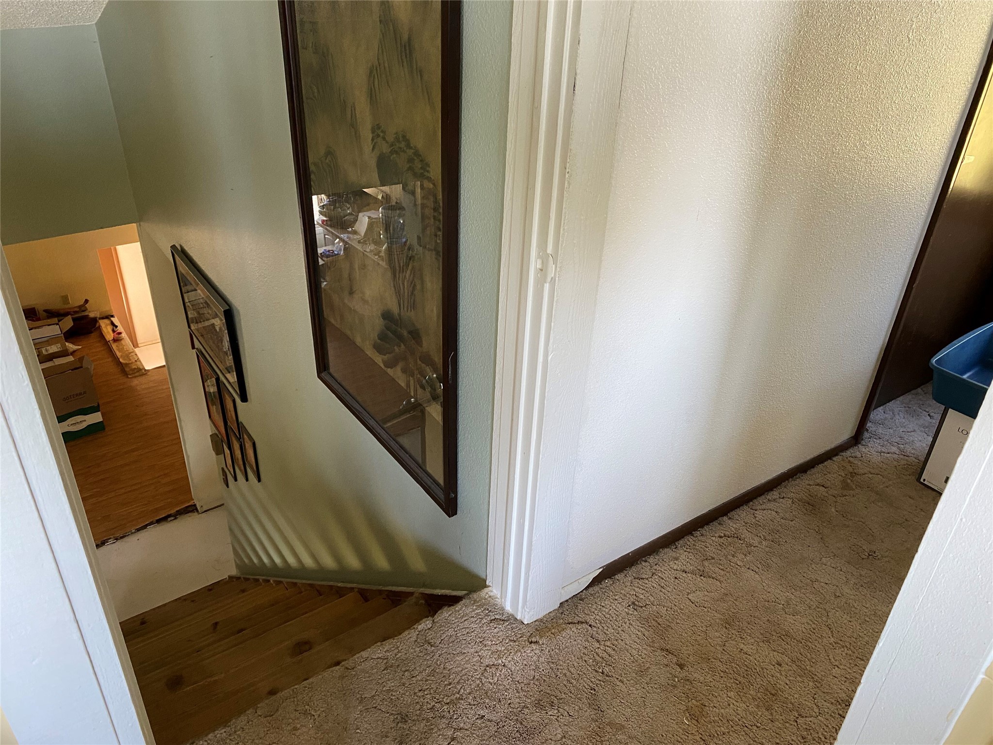 158 Saddle Mountain Drive Property Photo 57