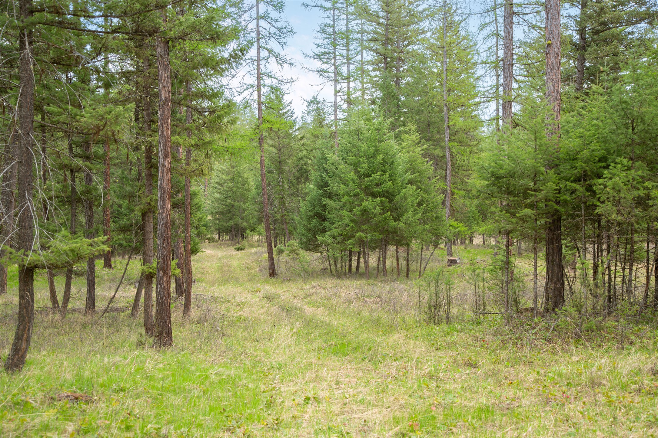 Nhn Bowdish Road Property Photo 1