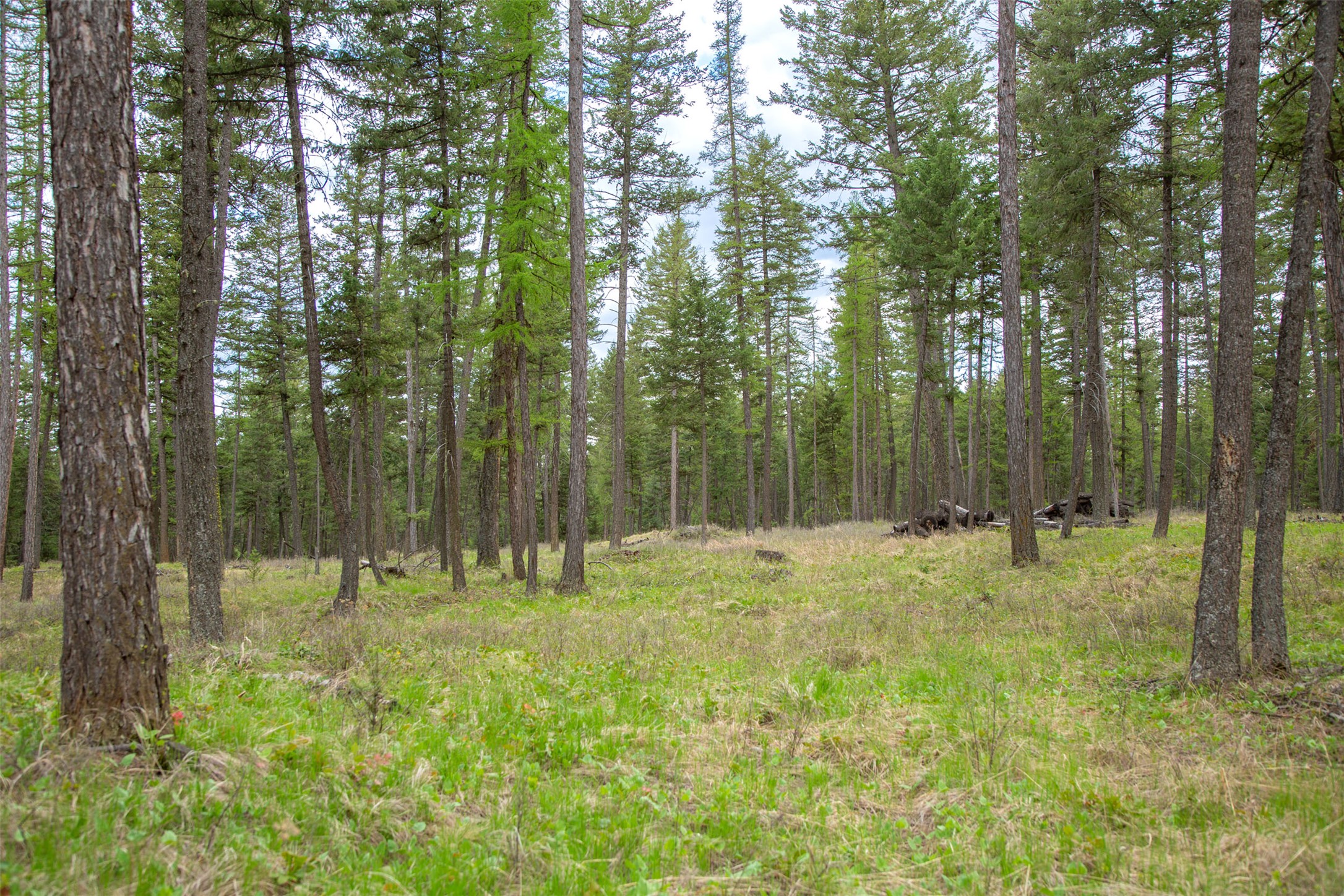 Nhn Bowdish Road Property Photo 2