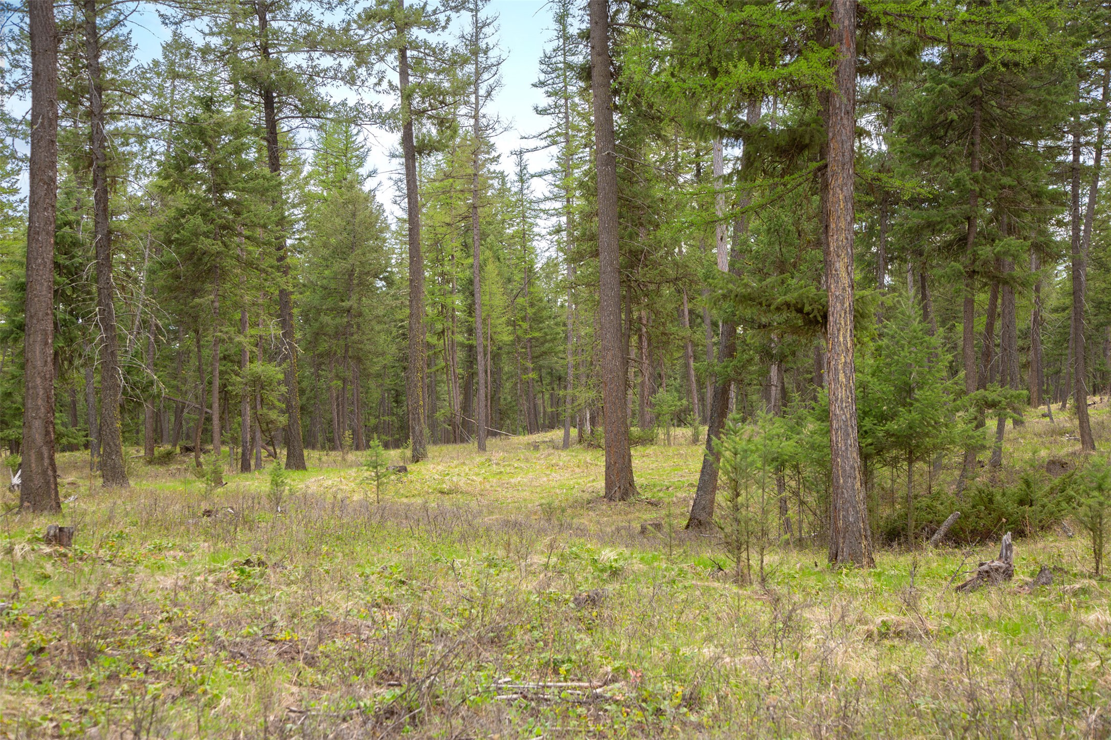 Nhn Bowdish Road Property Photo 5